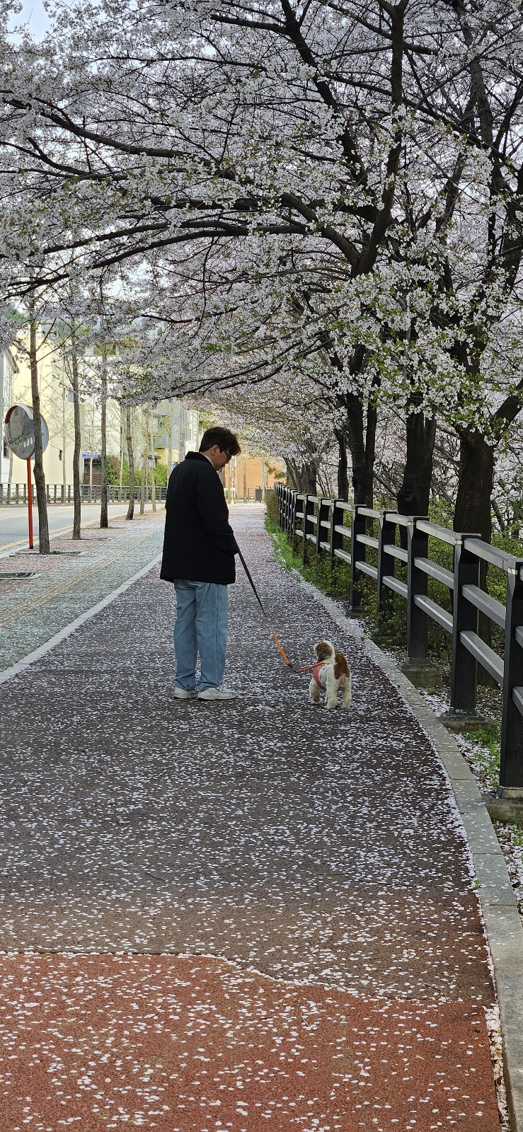 용순이 임보 세달째 소식