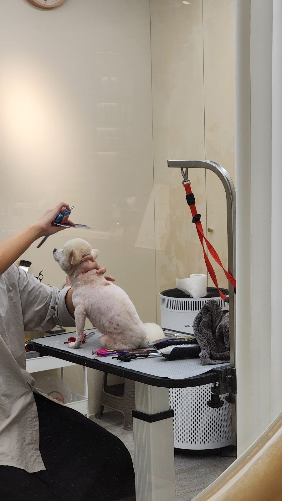 뽀노 임모일기 :)