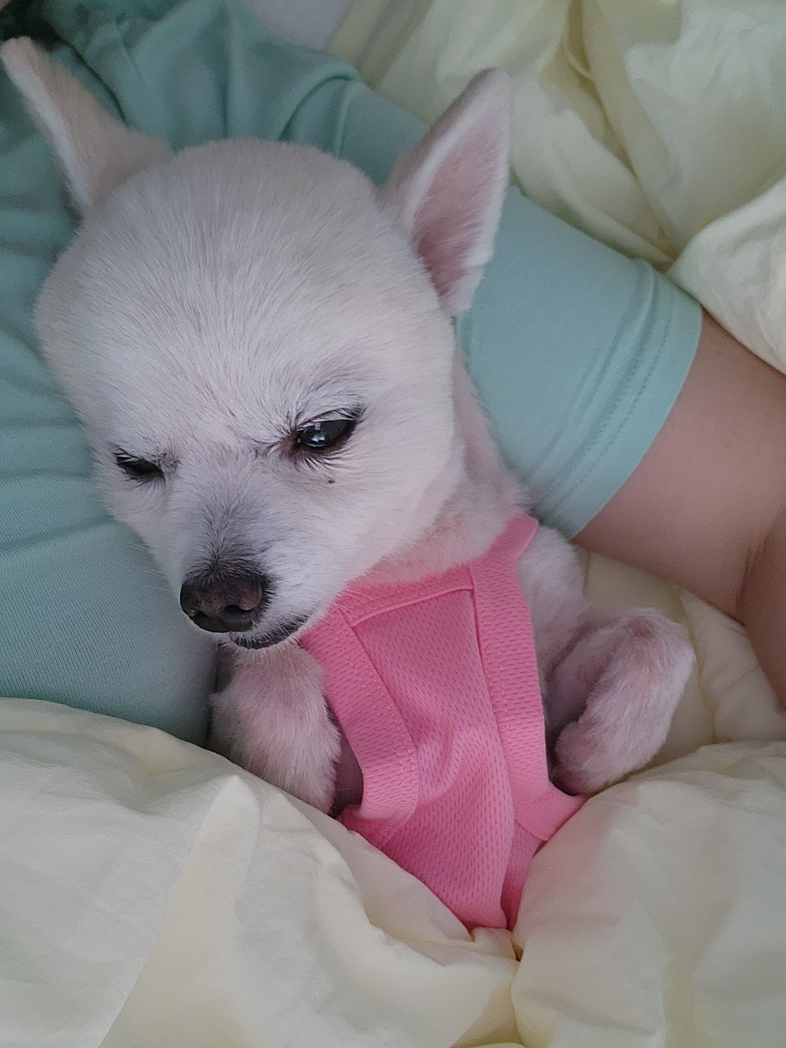 뽀노 임모일기 :)