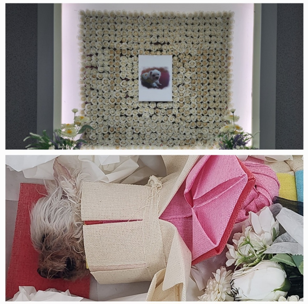 천사 동동아 잘가렴ㅠ다시 만나자