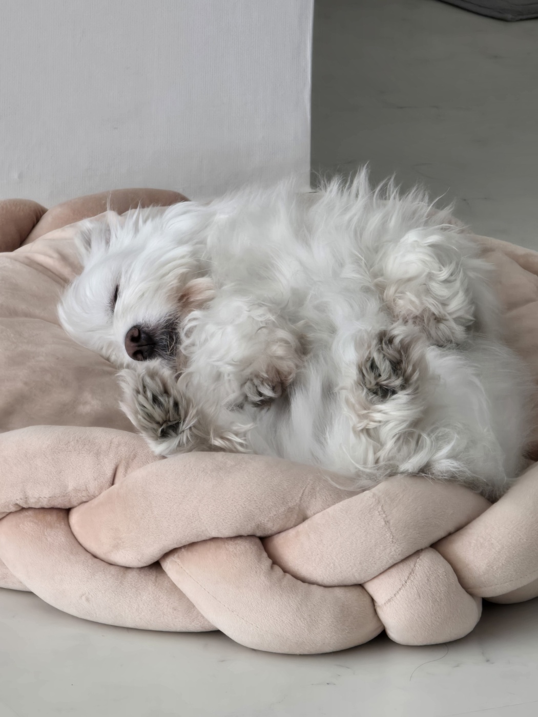 춘이(크리스탈) 한달 후기