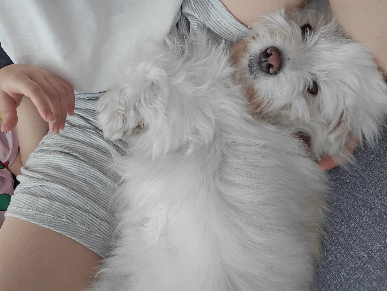 춘이(크리스탈) 한달 후기