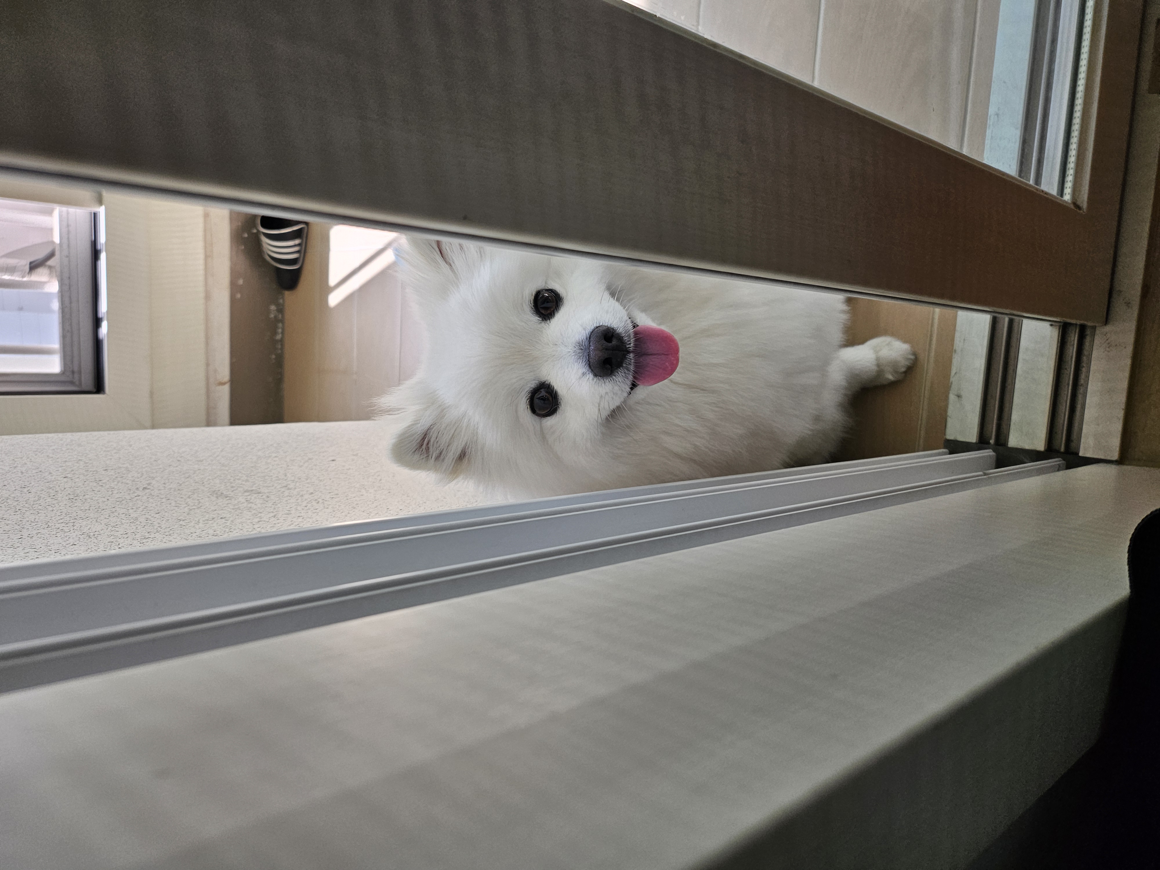 감자는 벌써 더워요