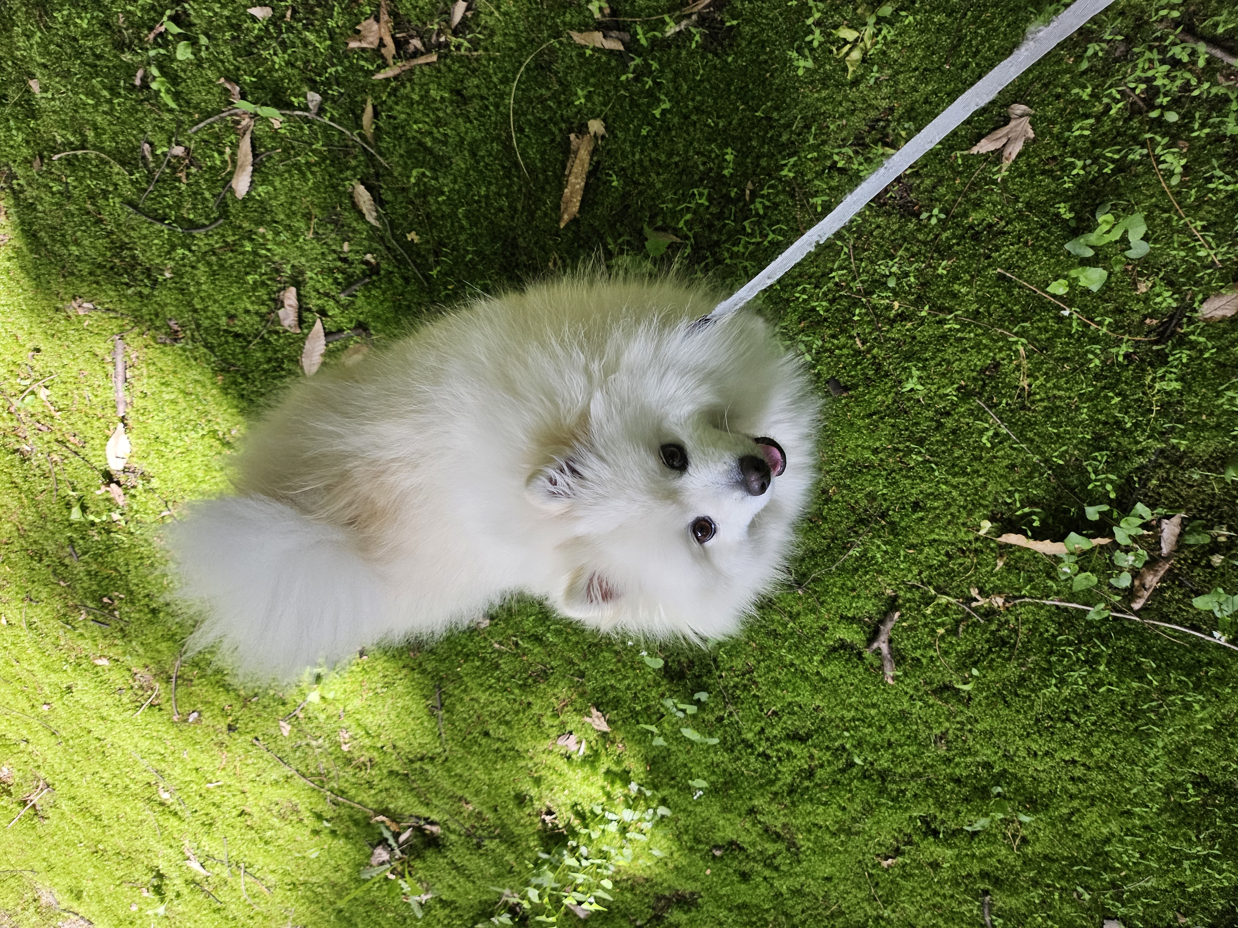 감자는 벌써 더워요