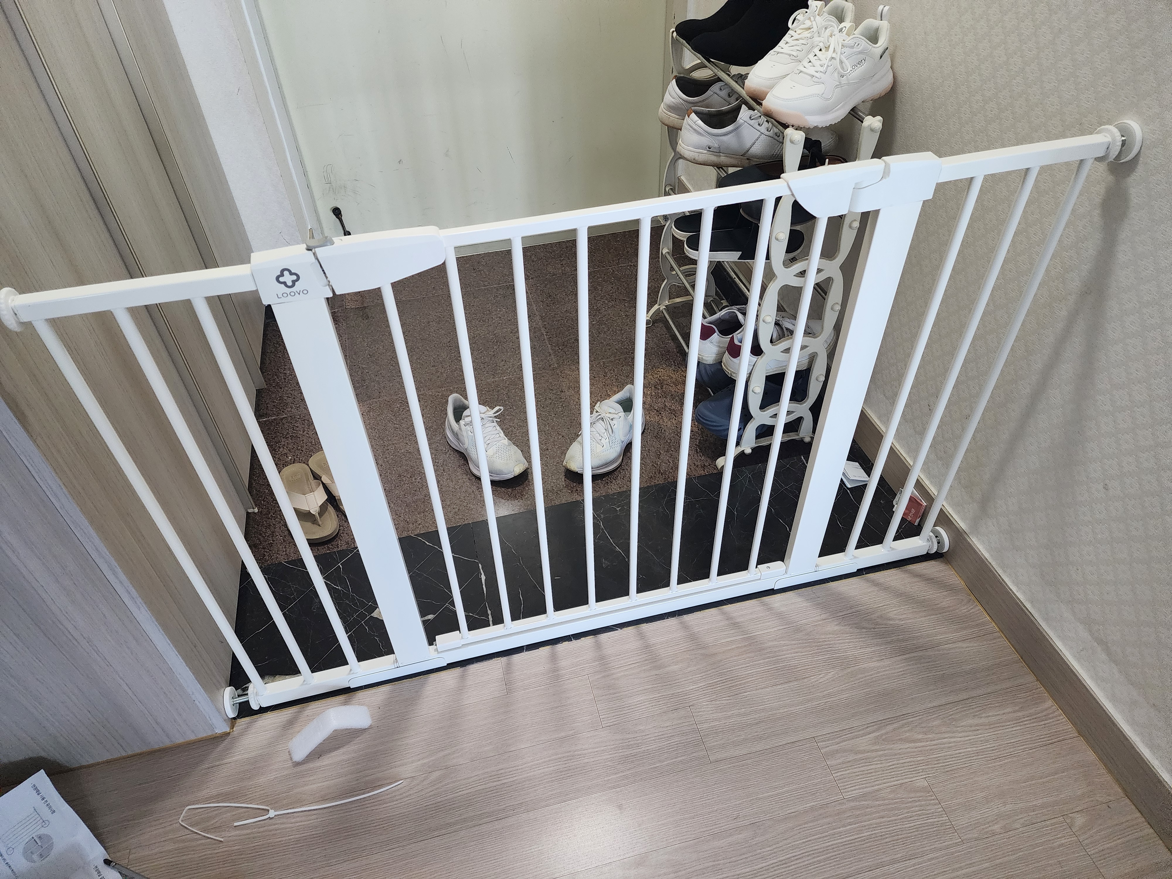 뽀테 일주일간 임보 일기