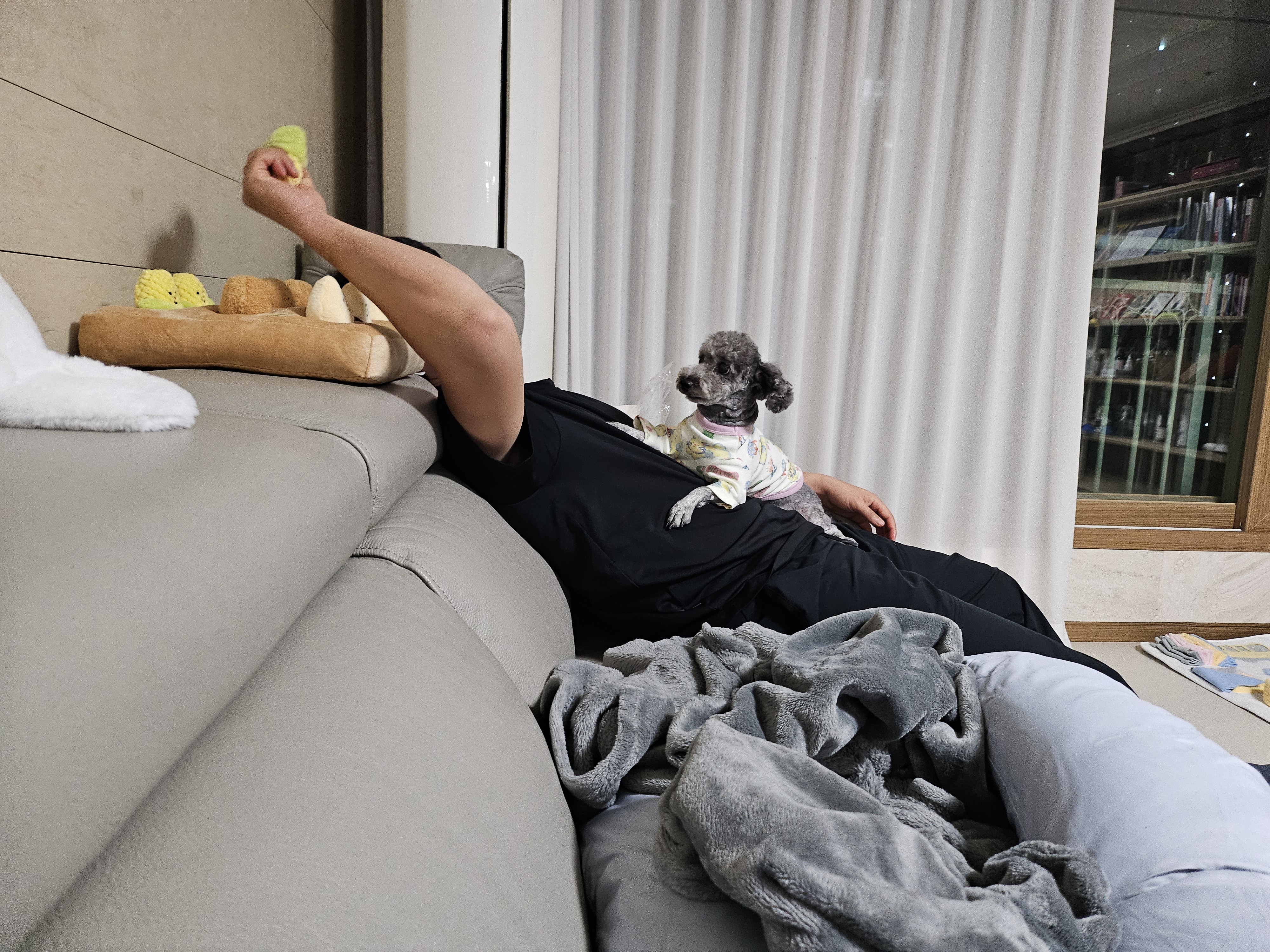 까니(까순이) 임시보호 1주일차 입니다.