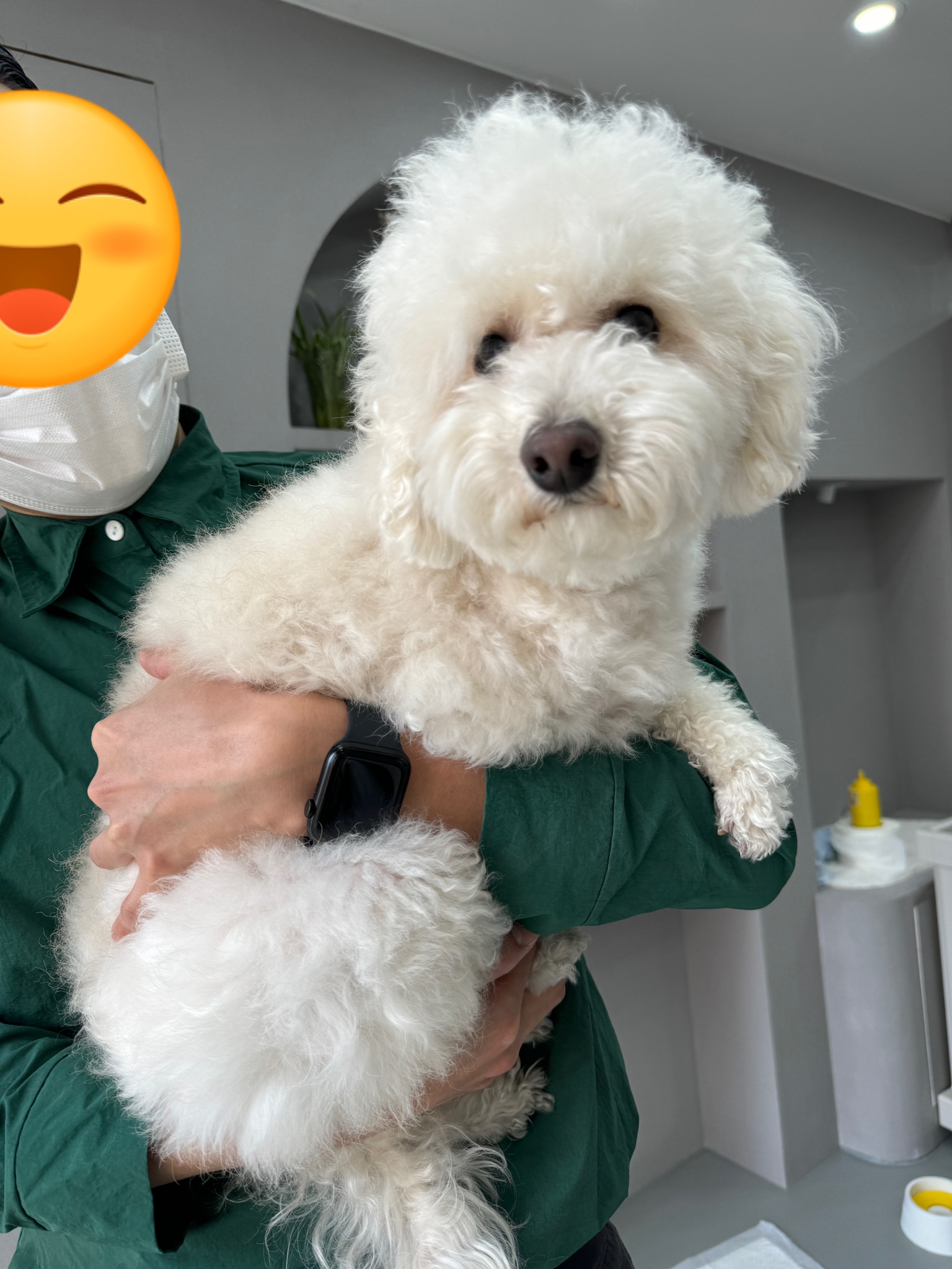 쿠크의 자견 심쿵이 입양3년차 오랜만에 글올려요