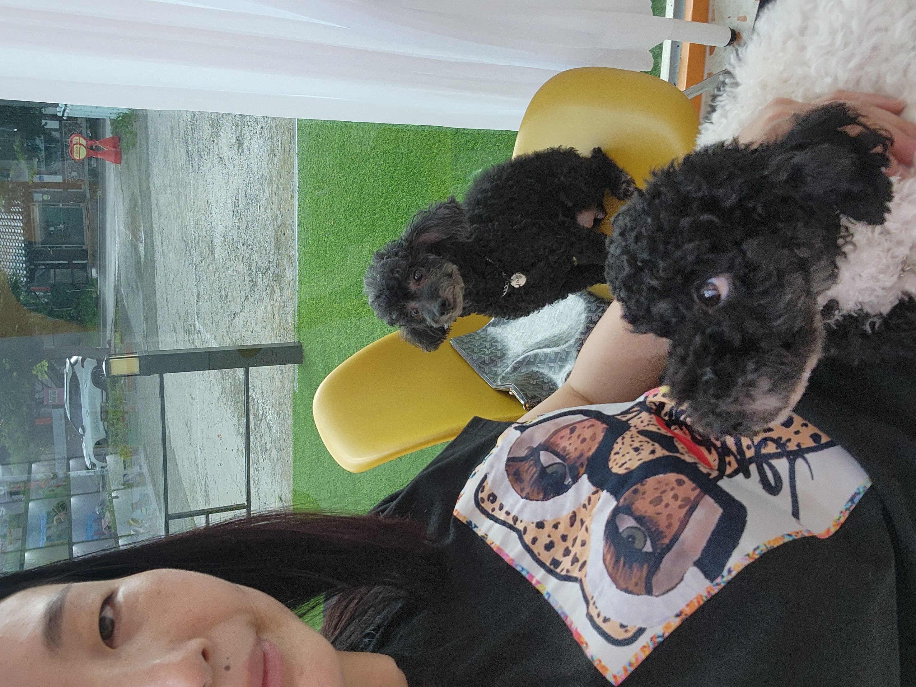 콩이.(뽀송이)생활