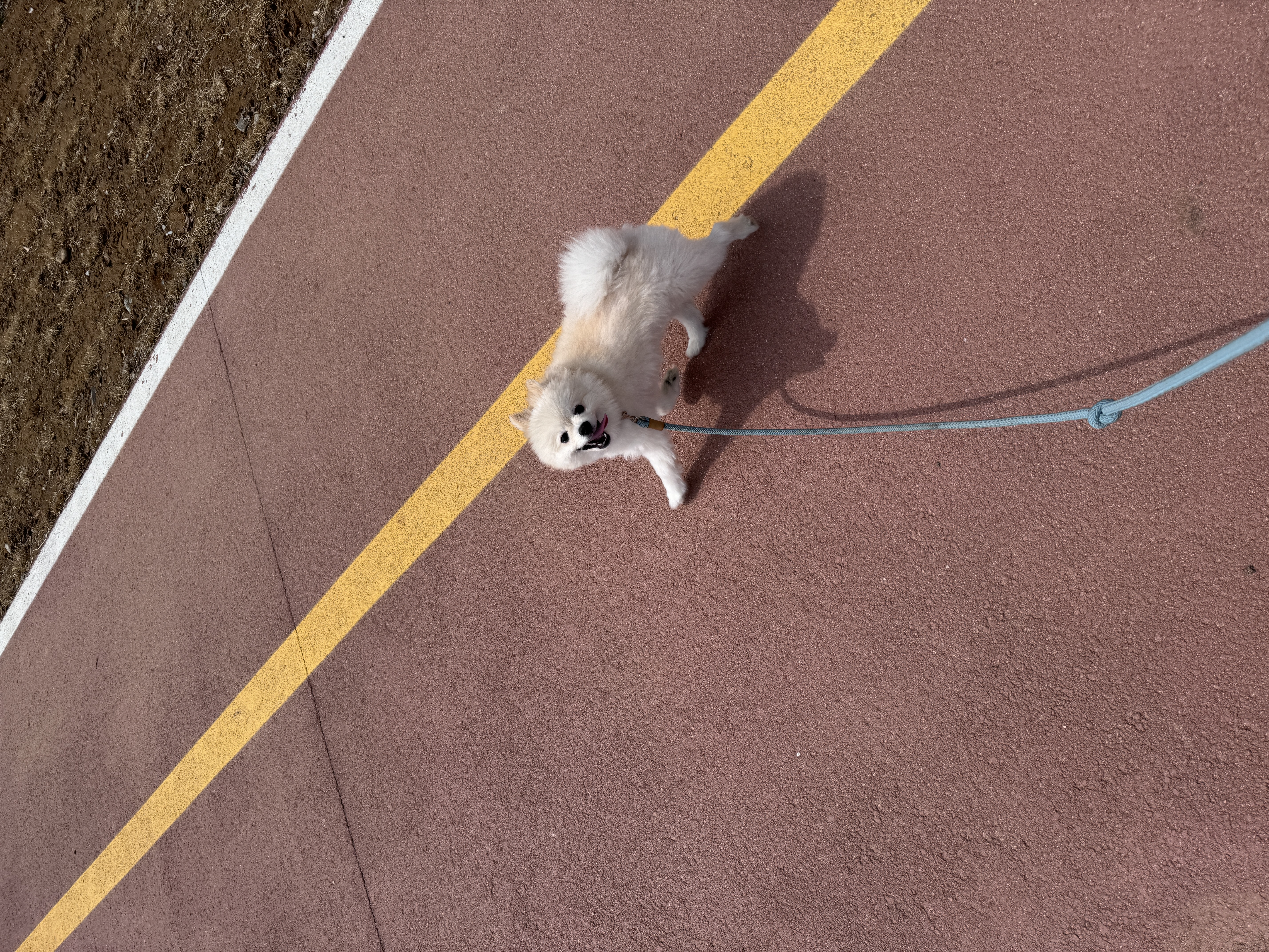 용식이(송오) 어느덧 3년되었네요!