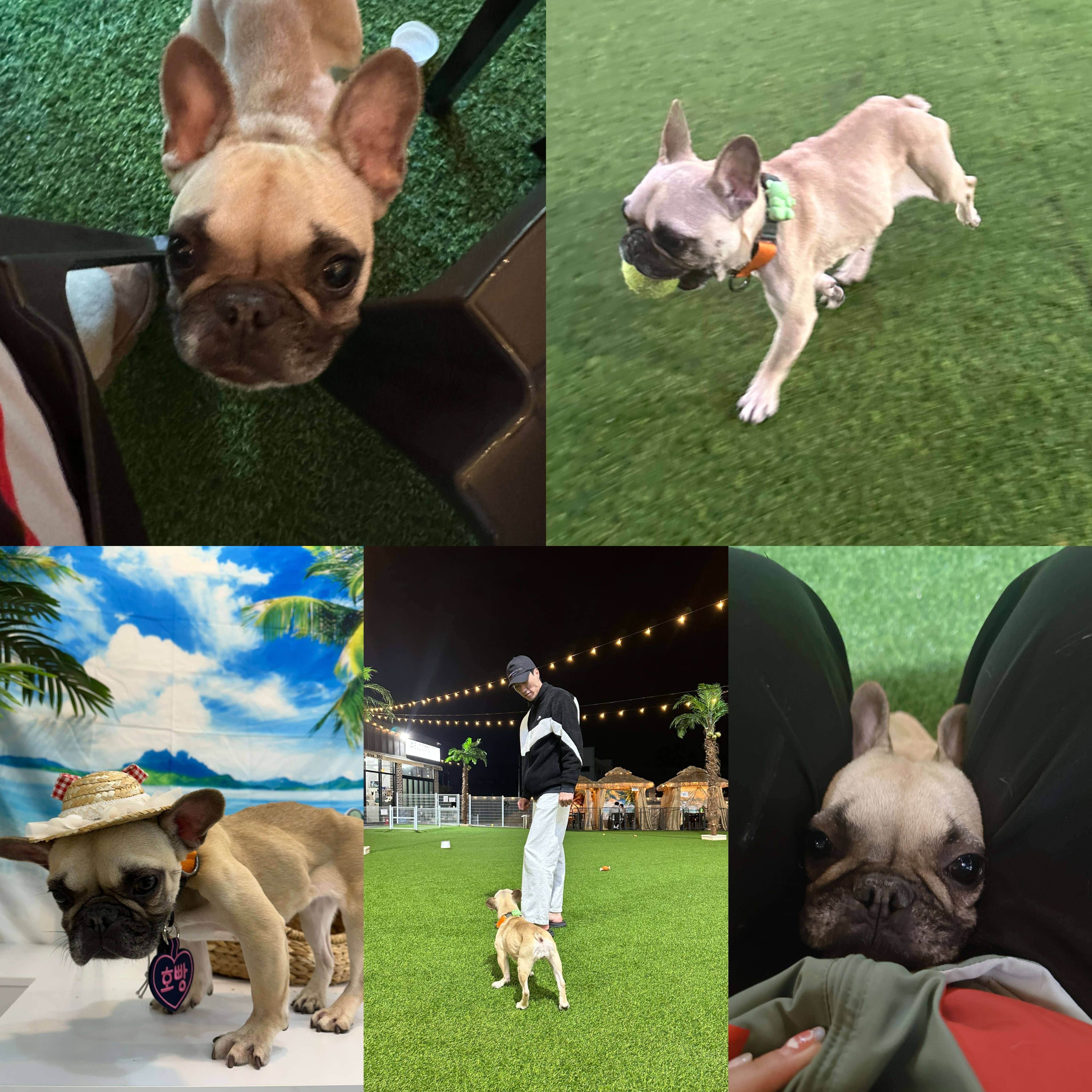 호빵(퍼지) 한달째 ❤️