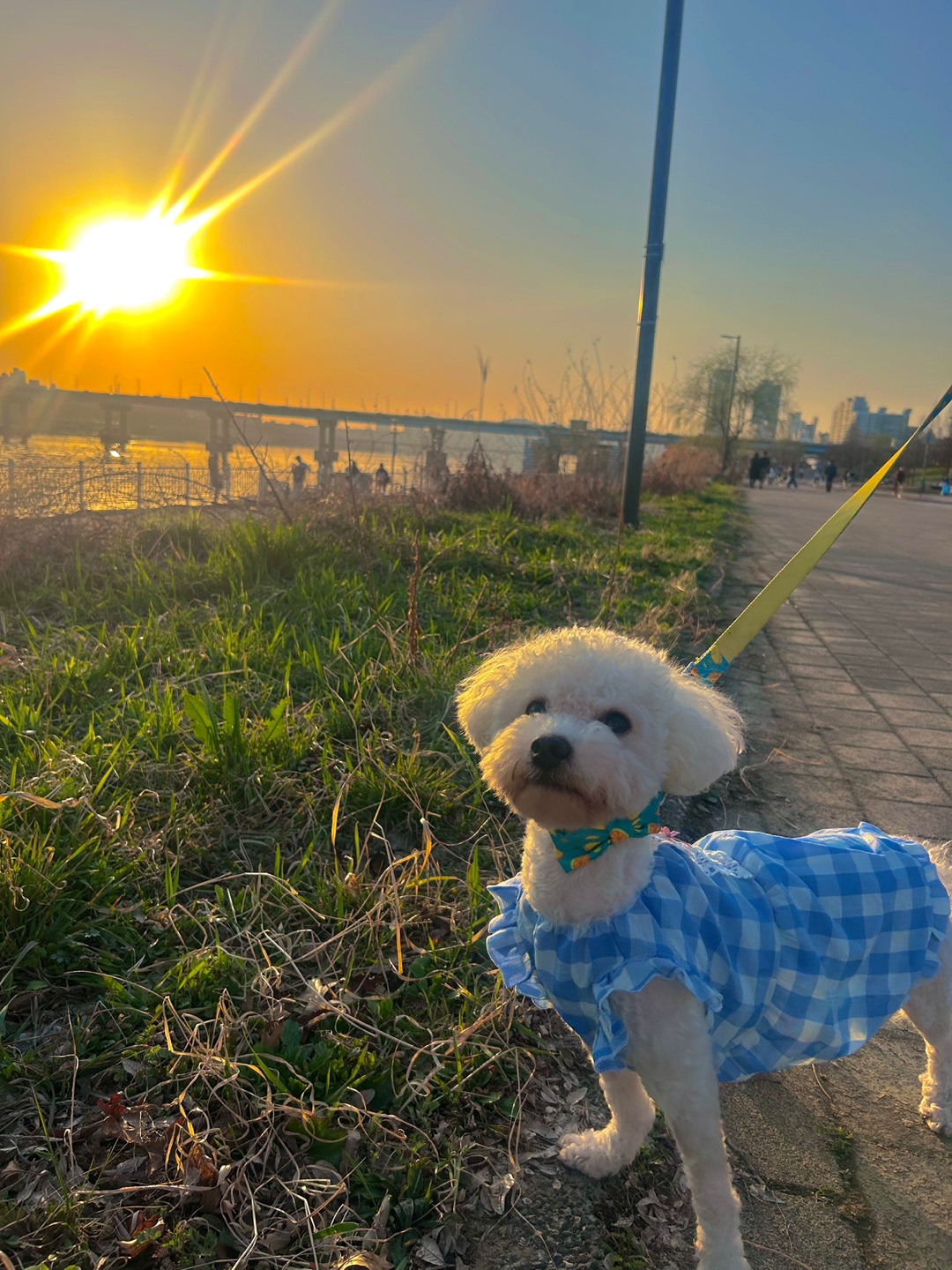 (양곤)루시와 알콩달콩 50일 이야기(최종)