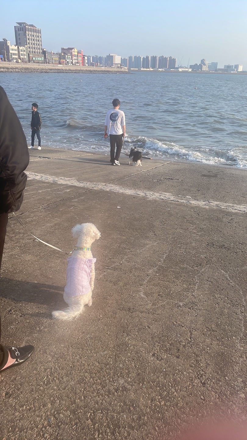 (양곤)루시와 알콩달콩 50일 이야기(최종)