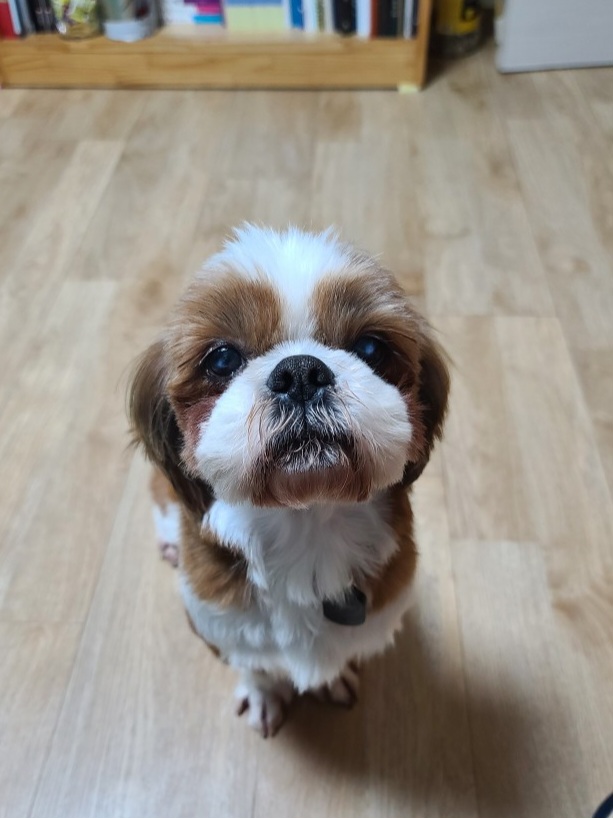 동동이 만난지 일주일째!(용자)