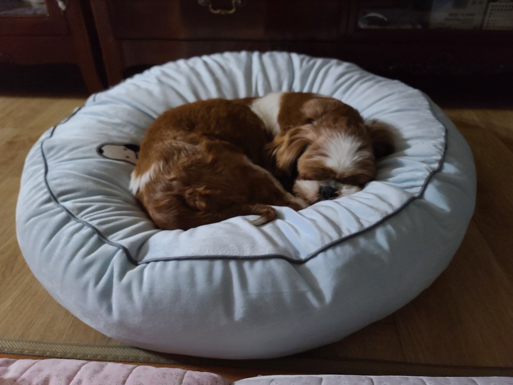 동동이 만난지 일주일째!(용자)