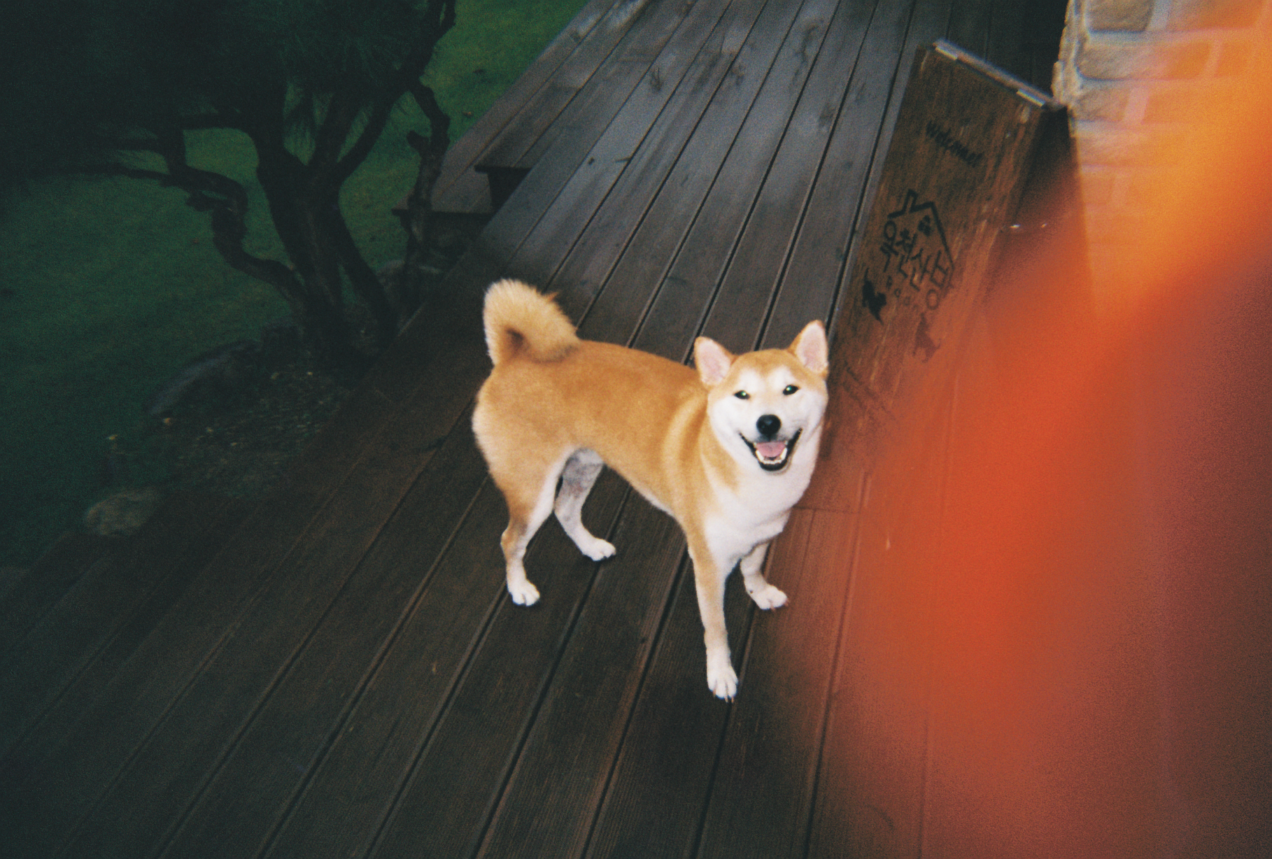 강이는 잘 지내고 있어요!