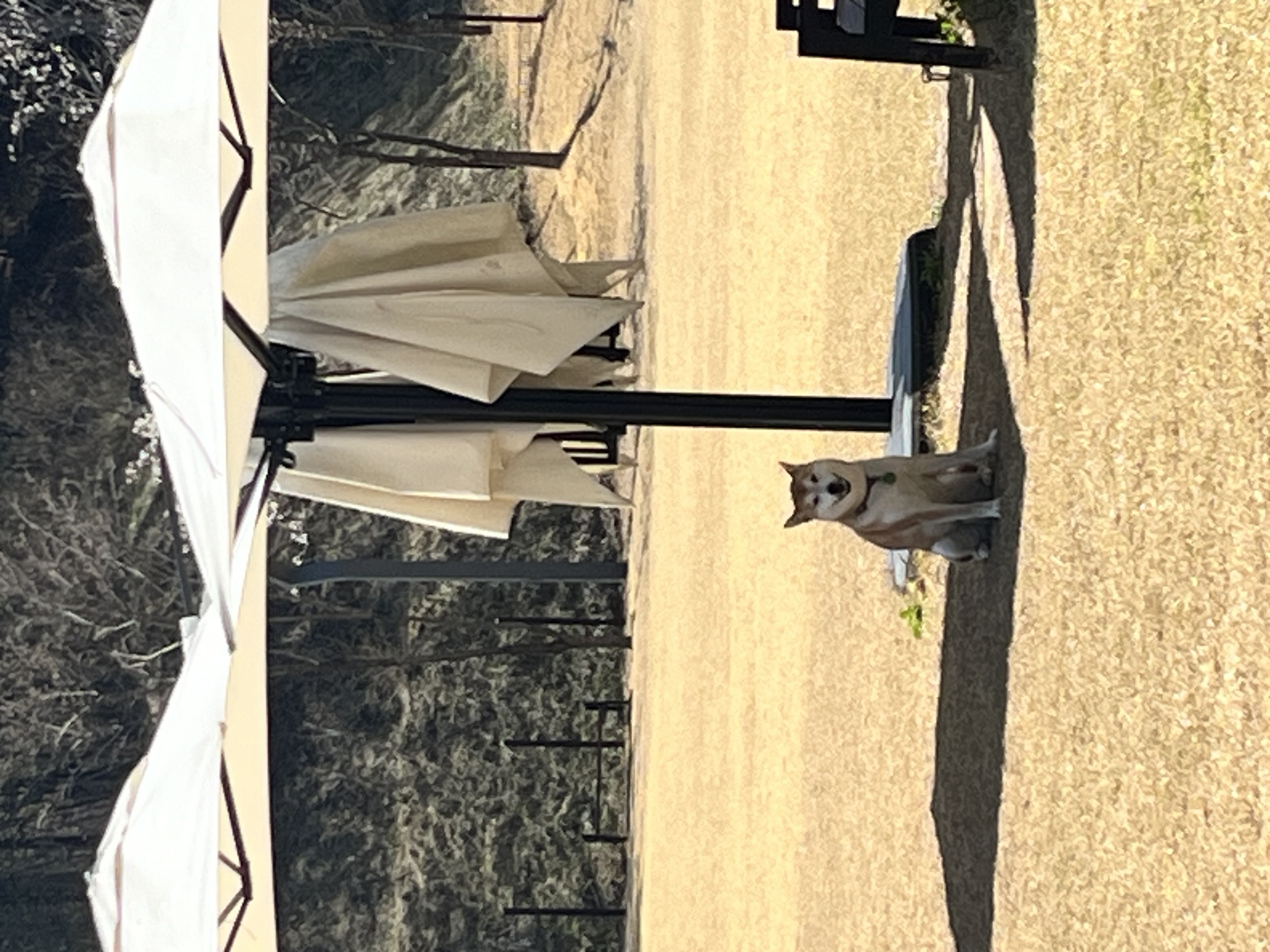 강이는 잘 지내고 있어요!