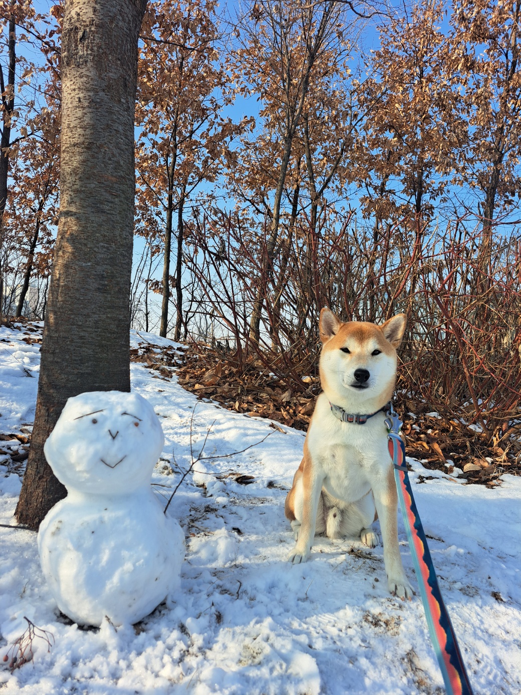 강이는 잘 지내고 있어요!