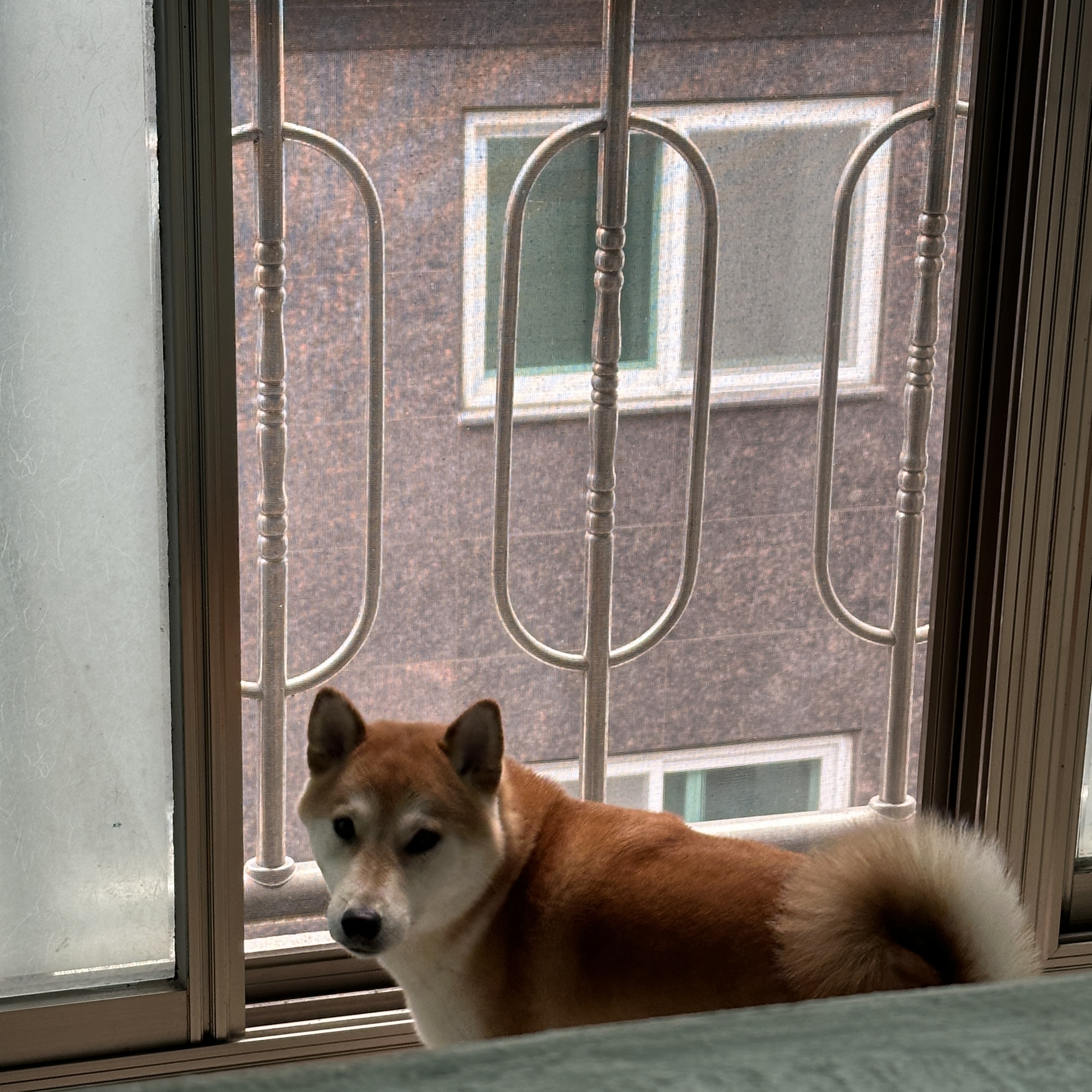 한시였던 리오네에요~!