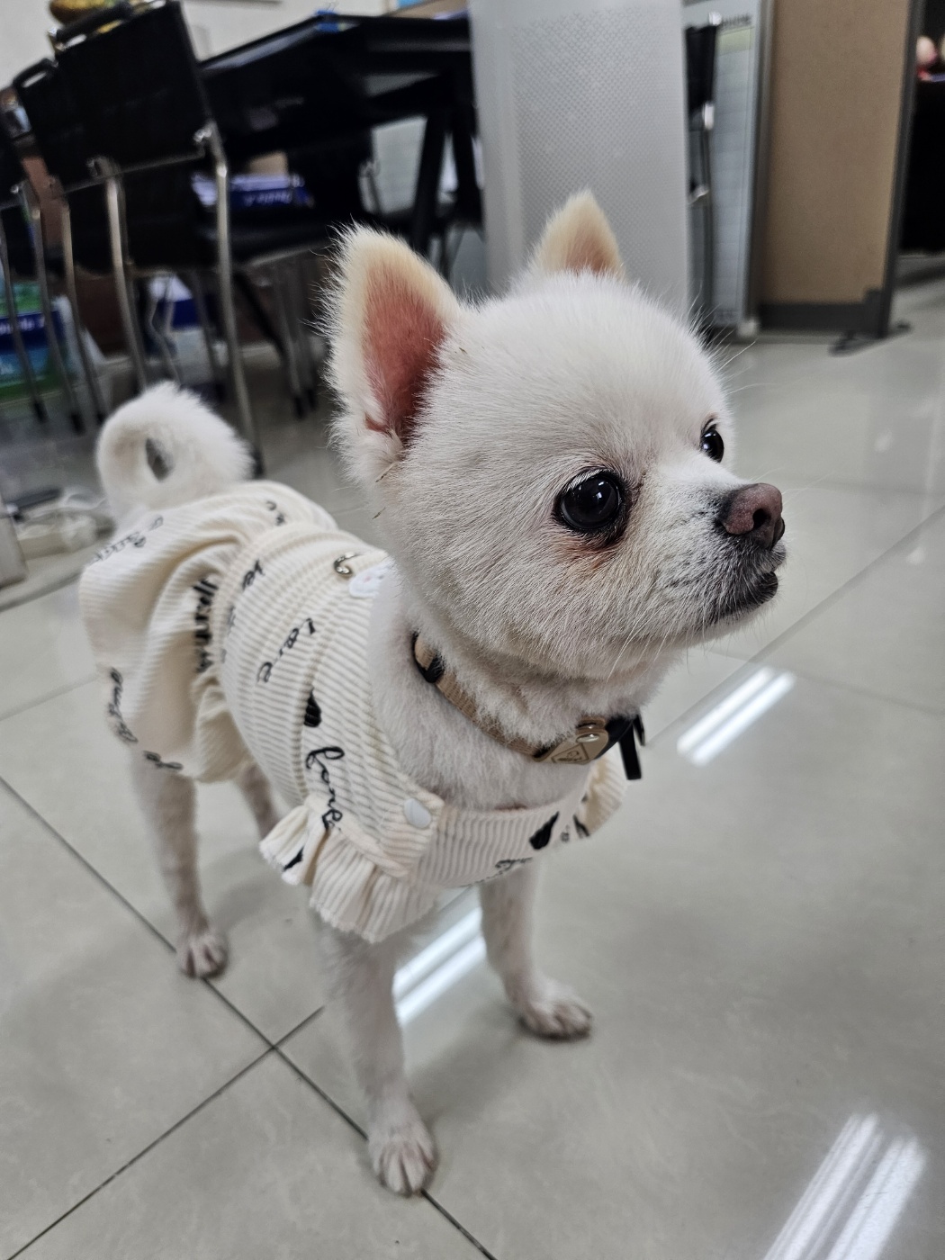  태어난 지 9일  햇살이(뽀동이)  잘 지내고 있어요