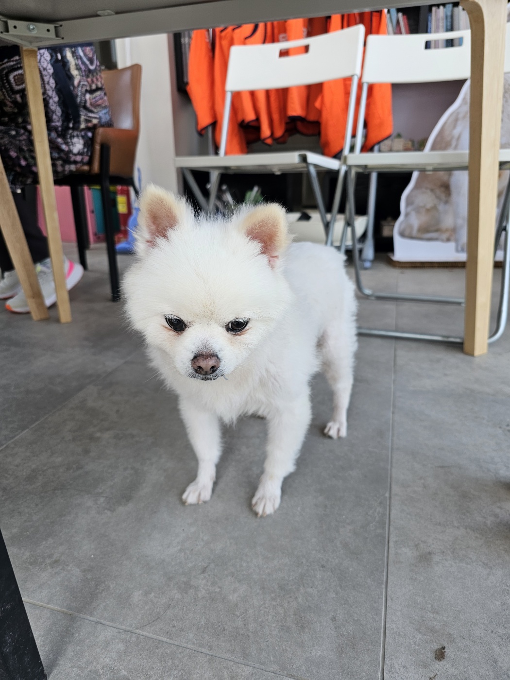  태어난 지 9일  햇살이(뽀동이)  잘 지내고 있어요