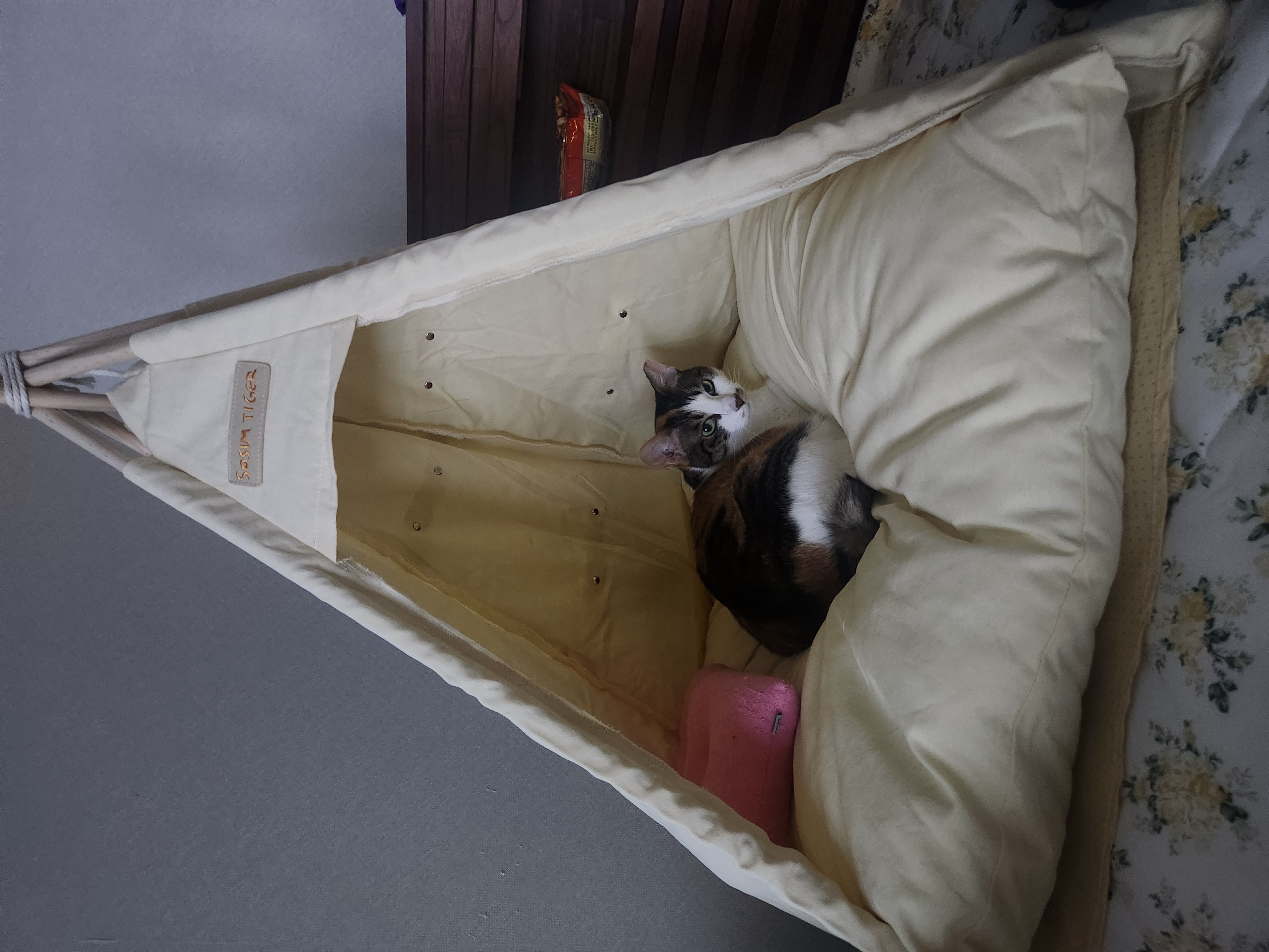 루비가 벌써 10살이네요. 오랫만에 소식전합니다