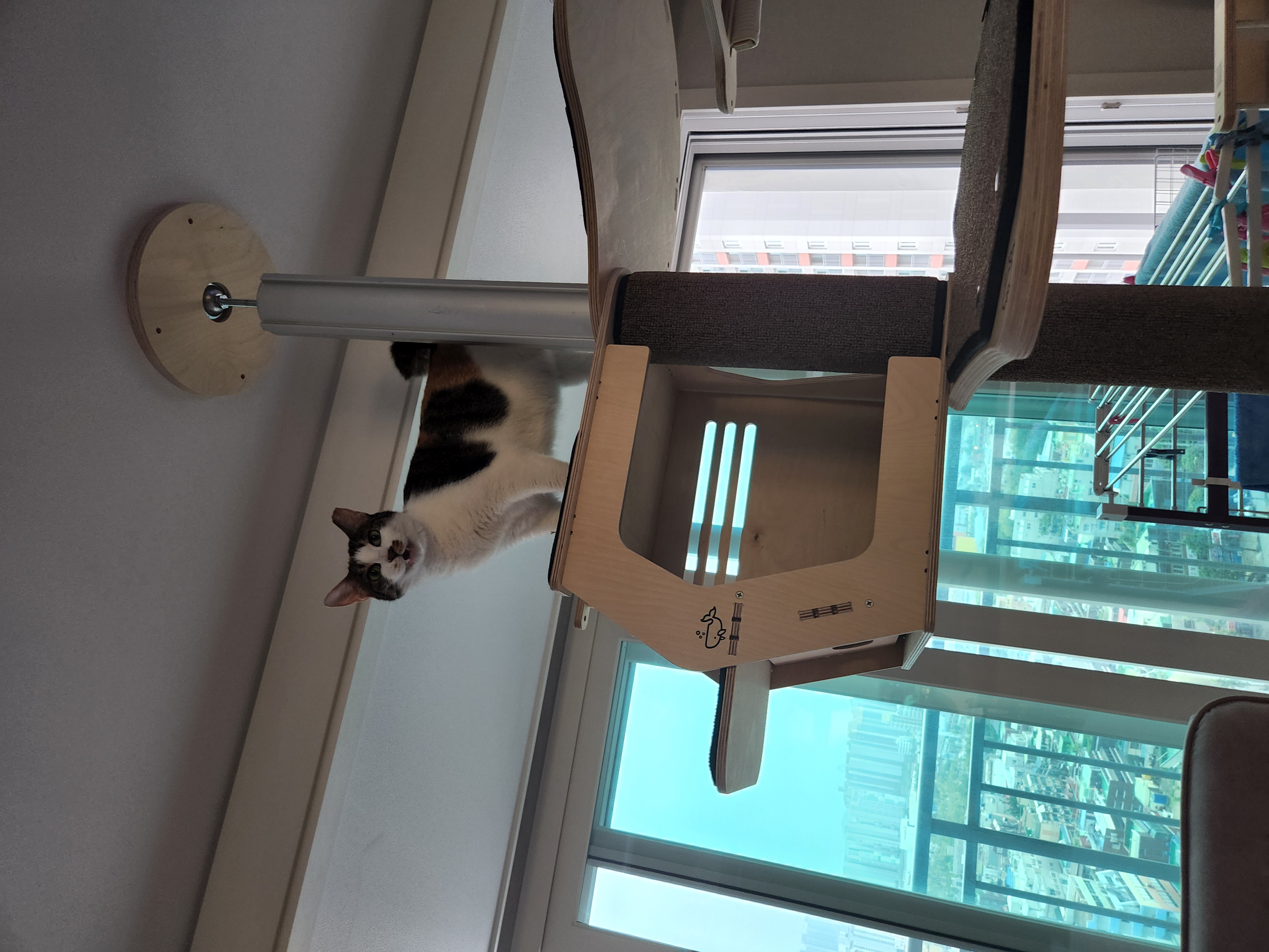 루비가 벌써 10살이네요. 오랫만에 소식전합니다