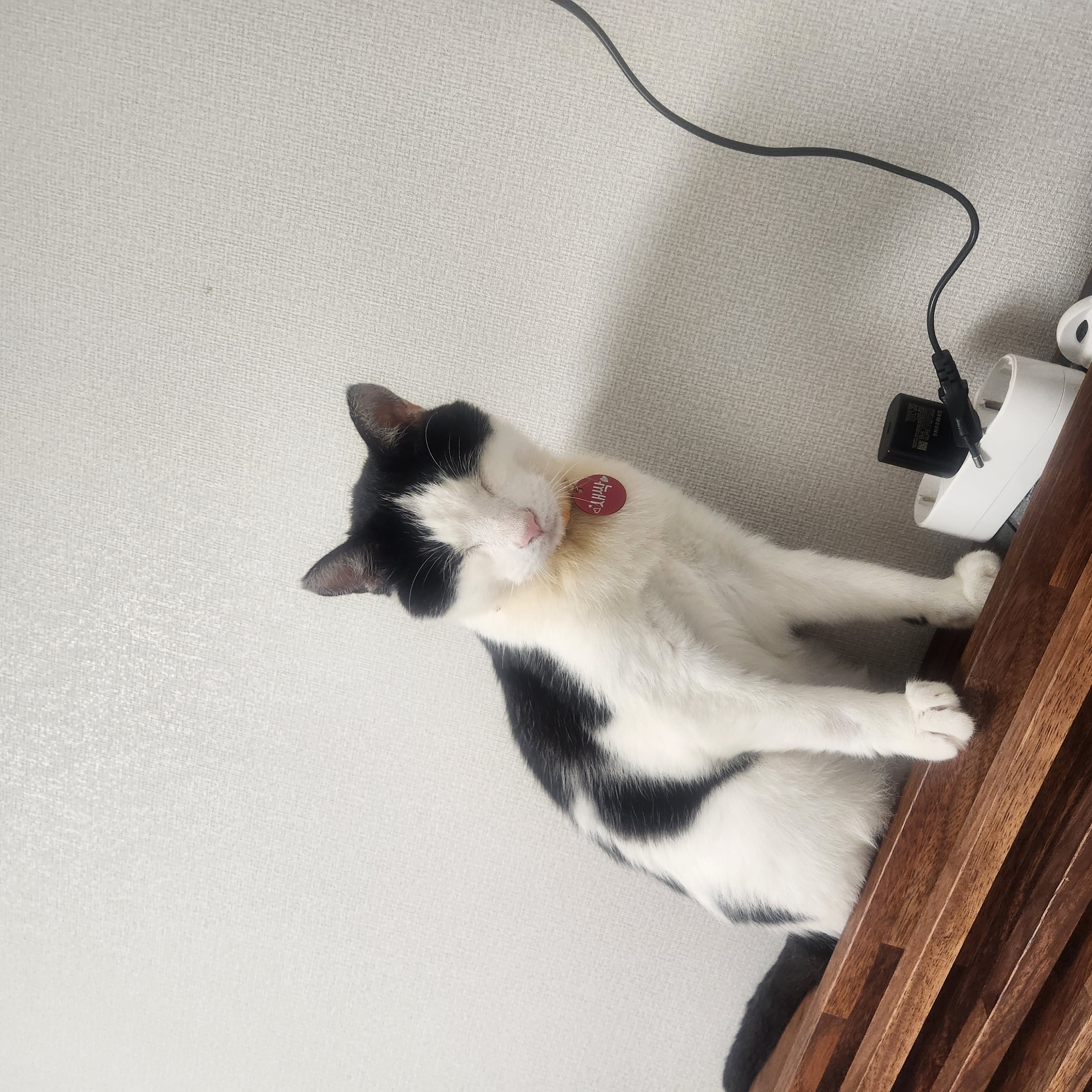 이젠 건강해졌어요, 새싹이요