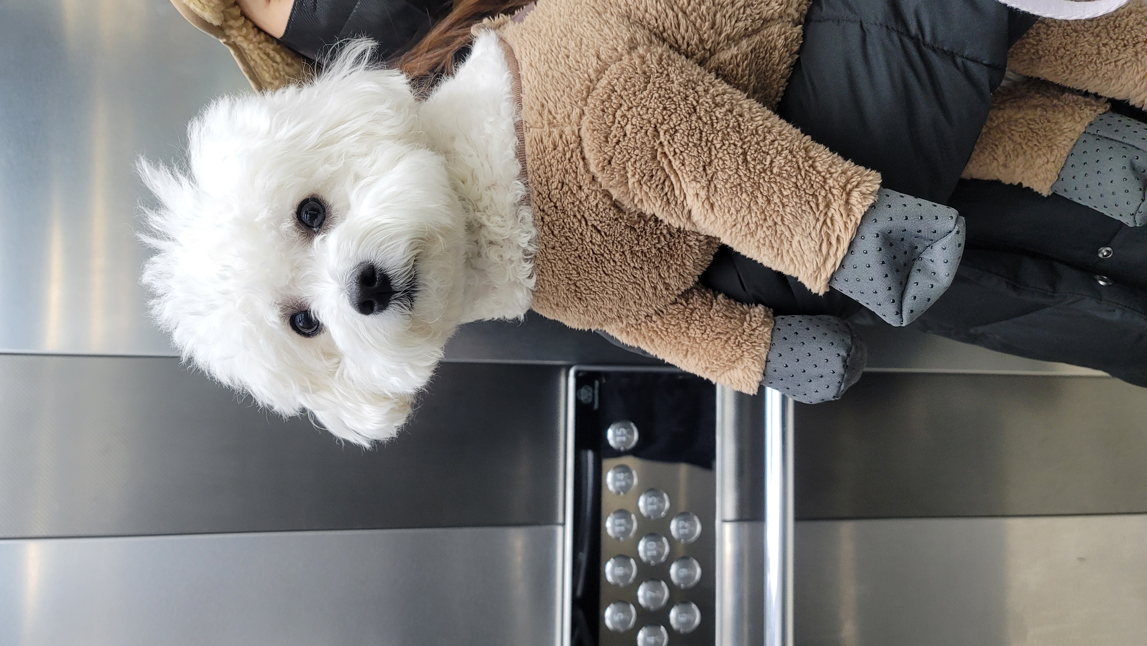 곤지암 구름이(하음),봄이(하삼) 근황입니다~♡