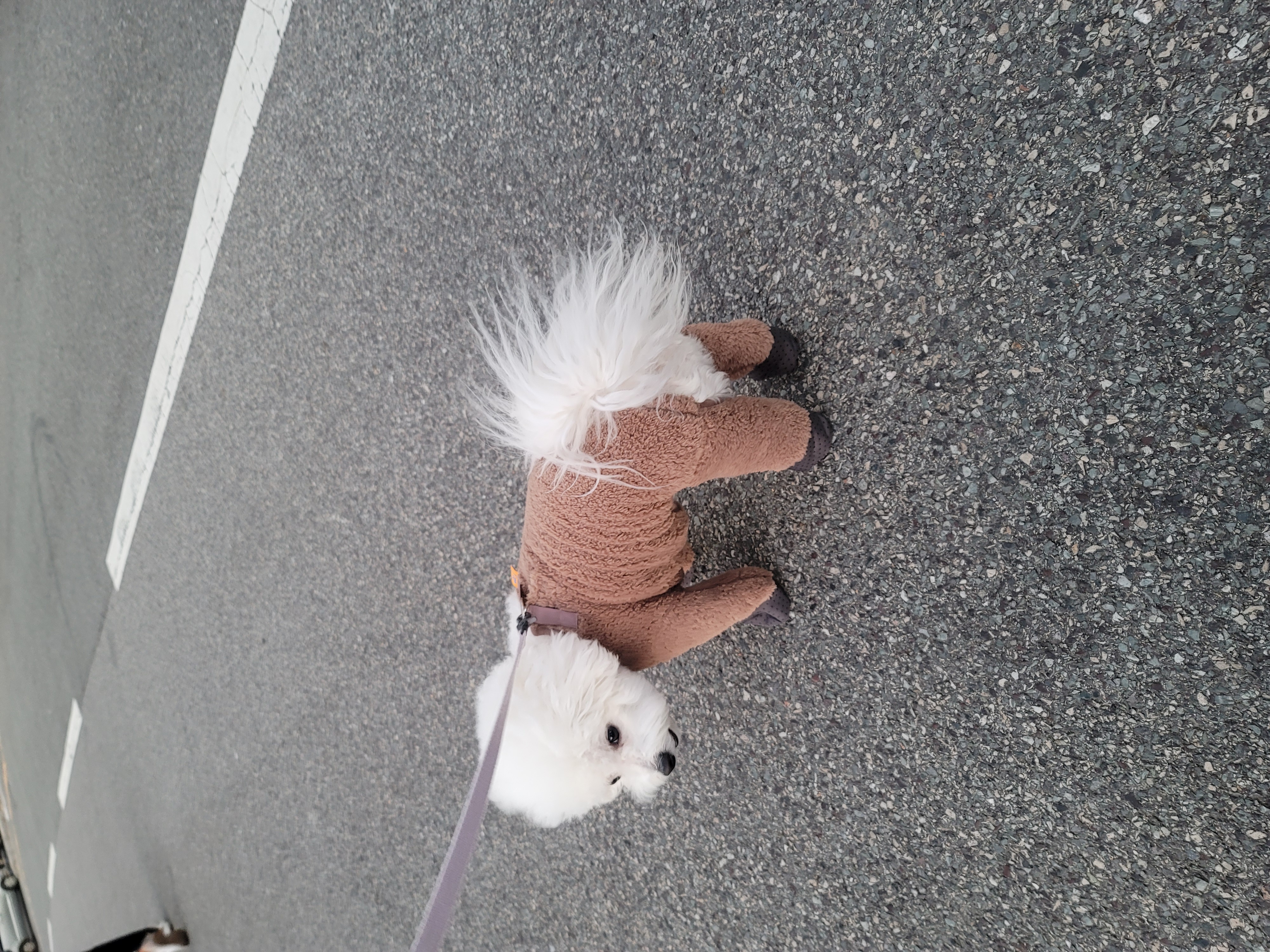 곤지암 구름이(하음),봄이(하삼) 근황입니다~♡