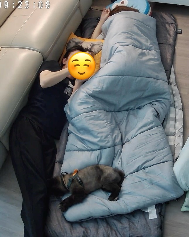 반곰이(현: 레오) 임시보호 일주일 후기