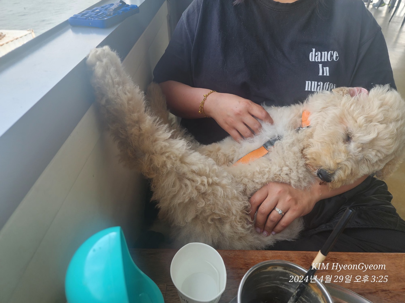 (구)푸돌이 (현)조 루이가 된 푸돌이 입양 후 일주일 이야기 입니다^^