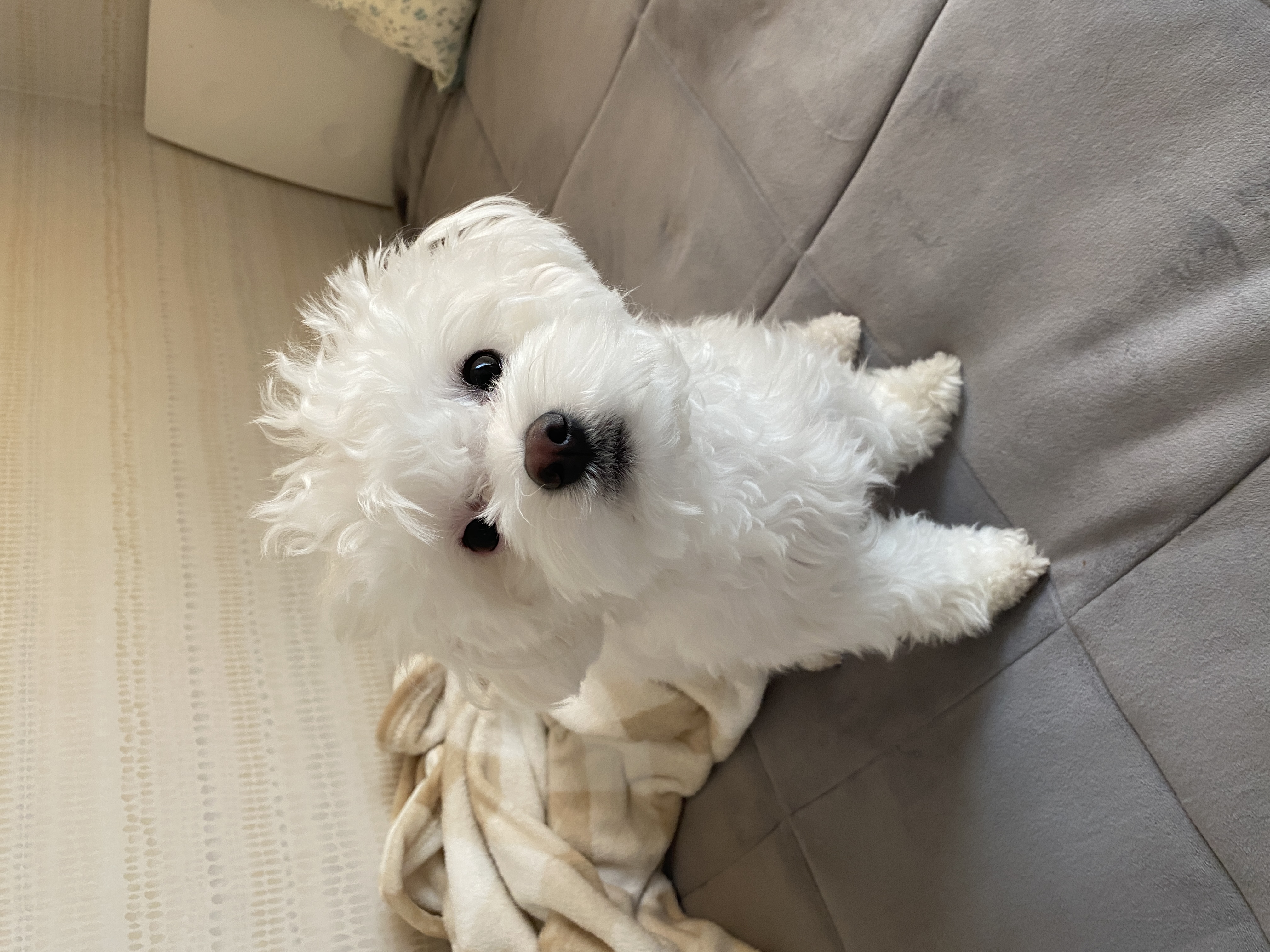 구름이네(아웅이) 1년 후 이야기 