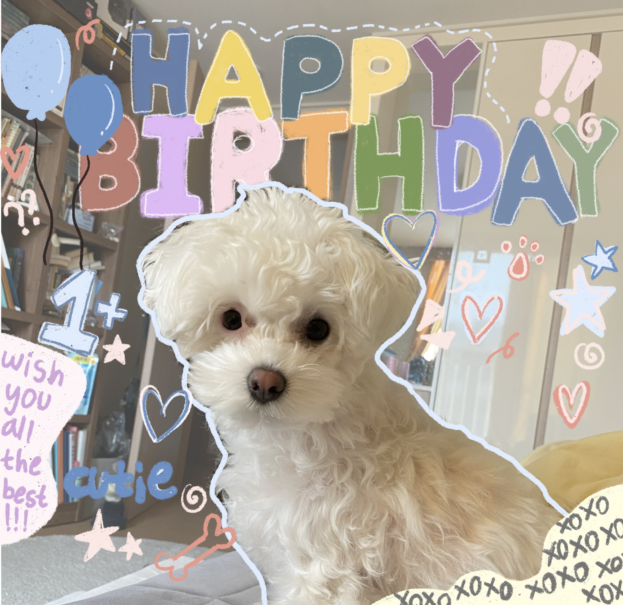 구름이네(아웅이) 1년 후 이야기 