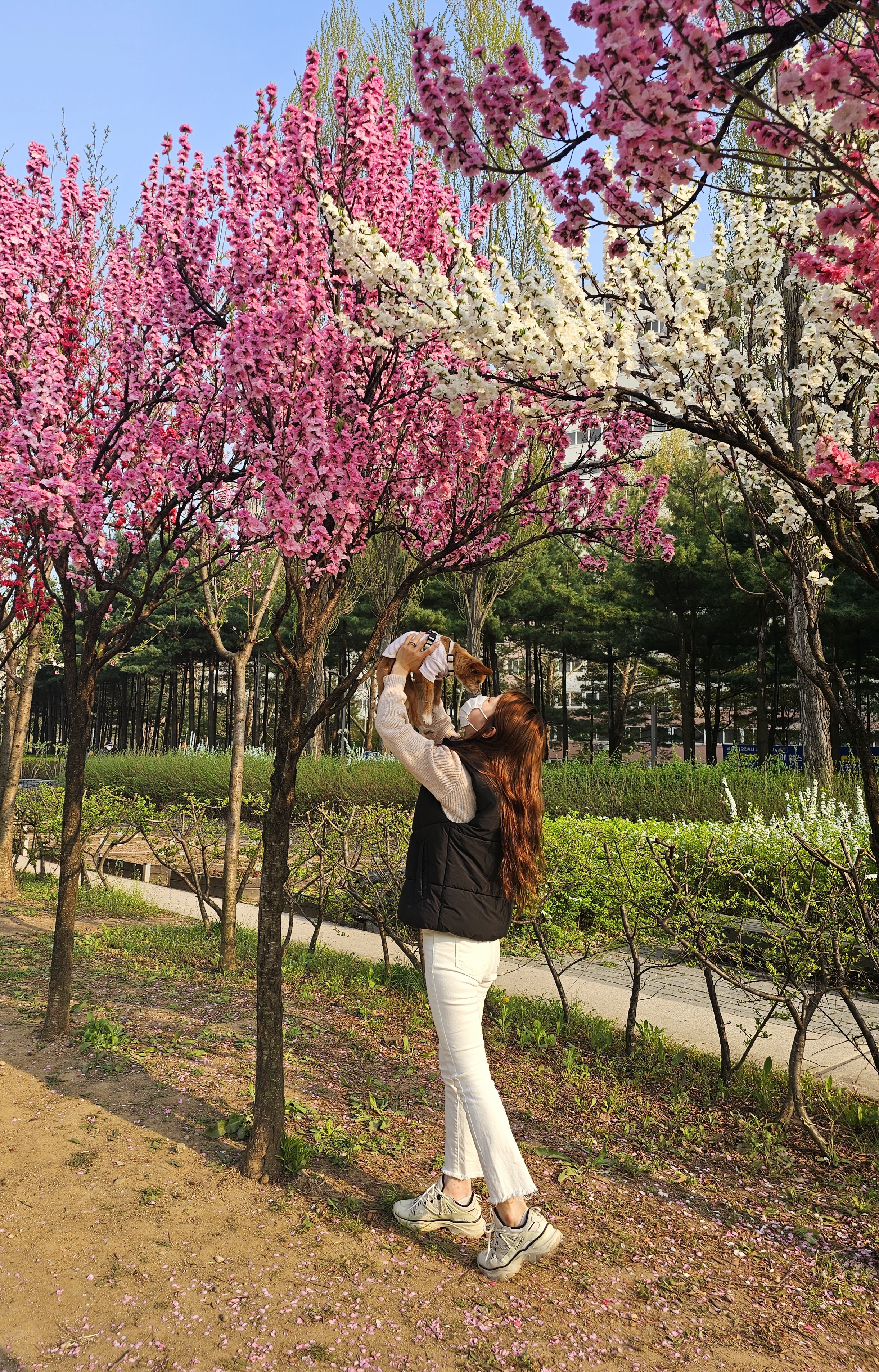 단추(뽀요)와 함께한지 벌써 4년🩷