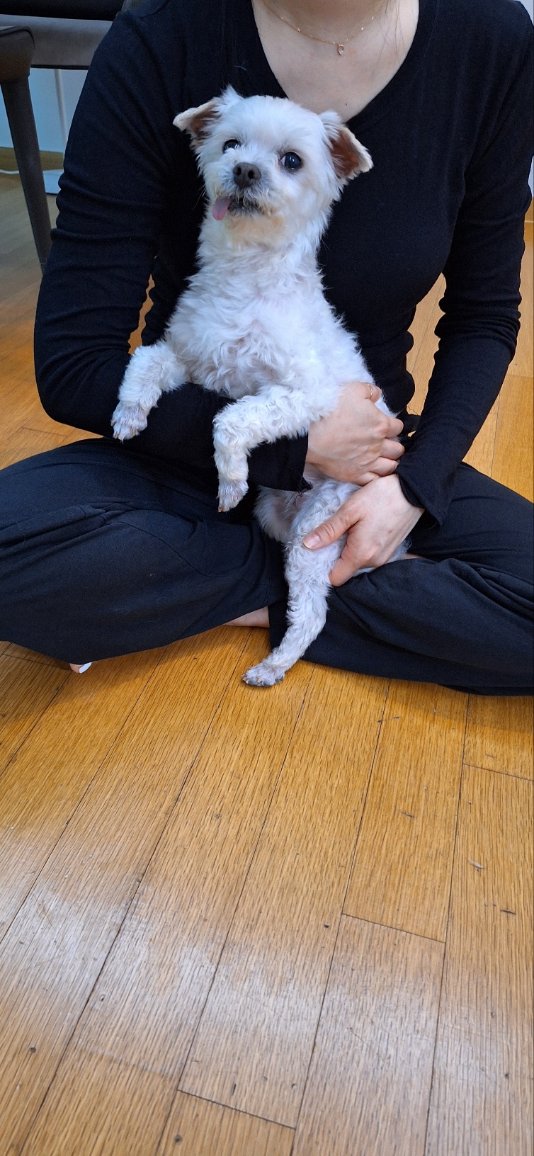 우리집에 온 바로