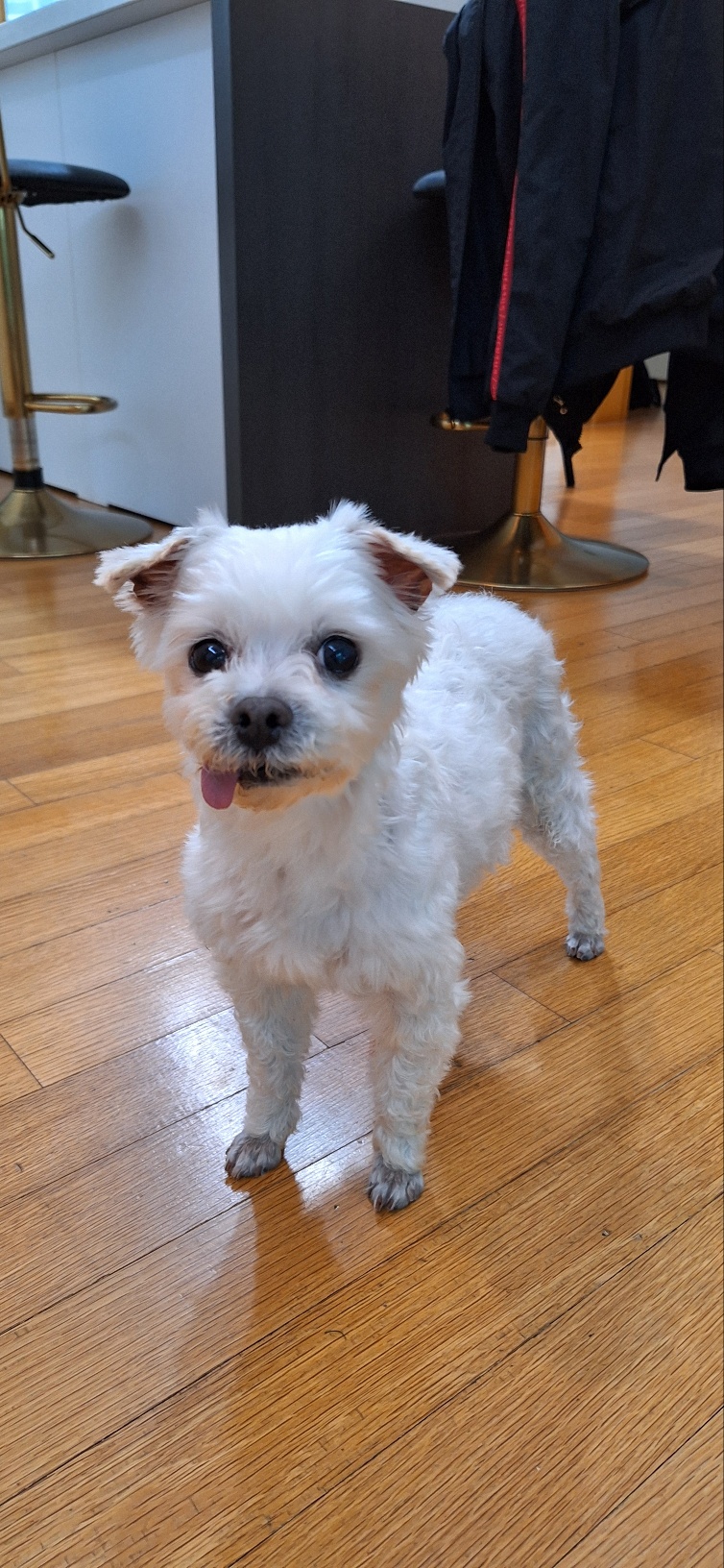 우리집에 온 바로