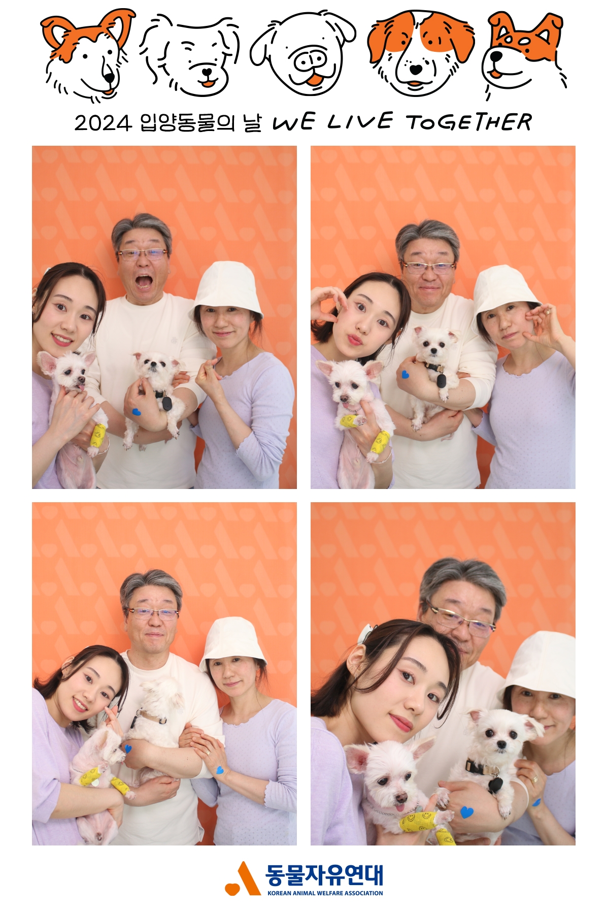 [임보] 마리와 함께 맞이한 봄날🌸