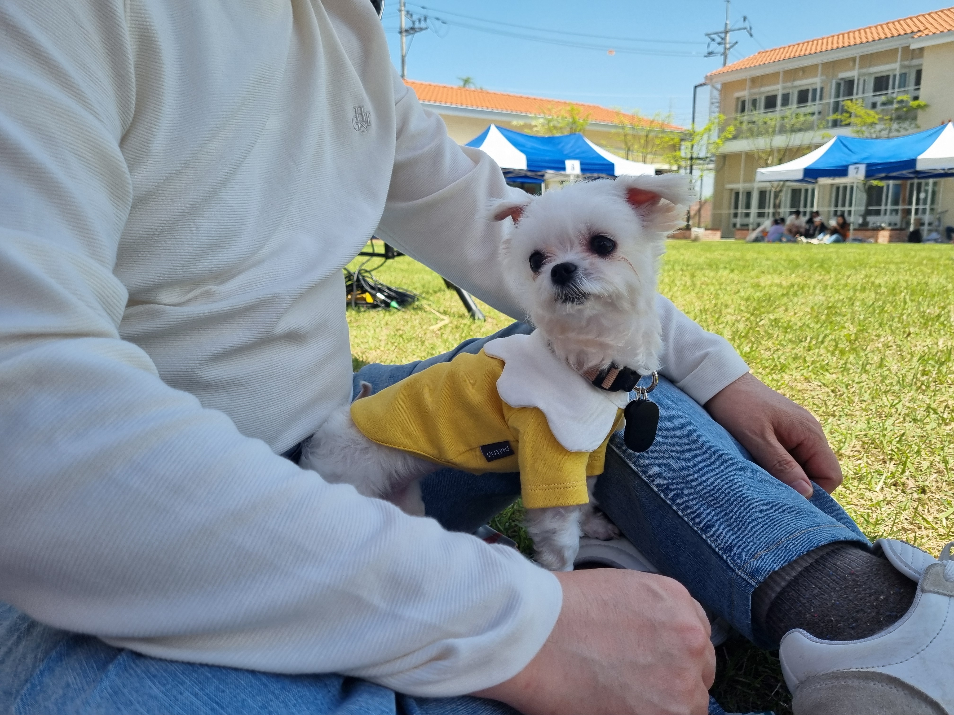 [임보] 마리와 함께 맞이한 봄날🌸