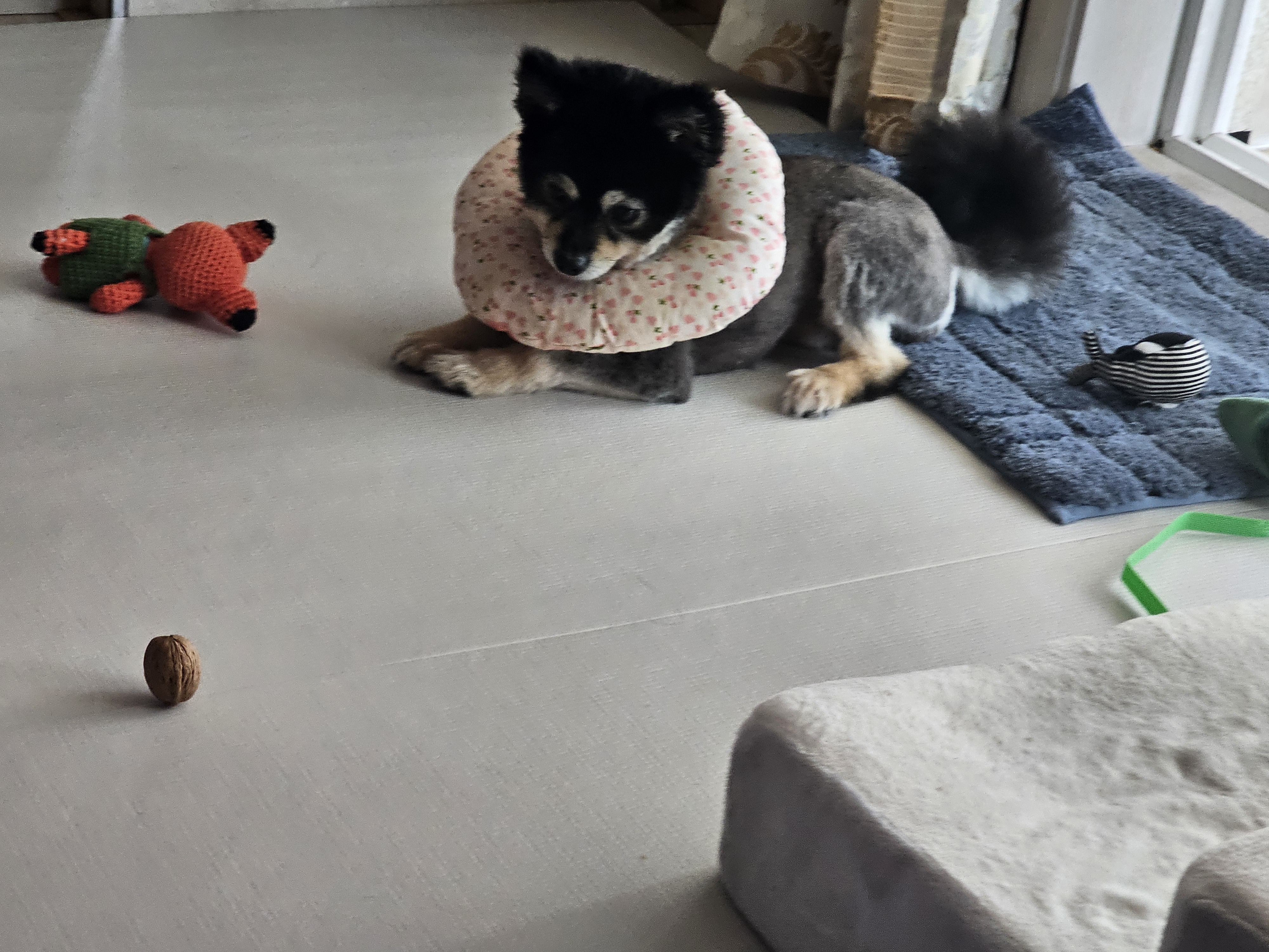 하초와 함께한 행복한 한달!