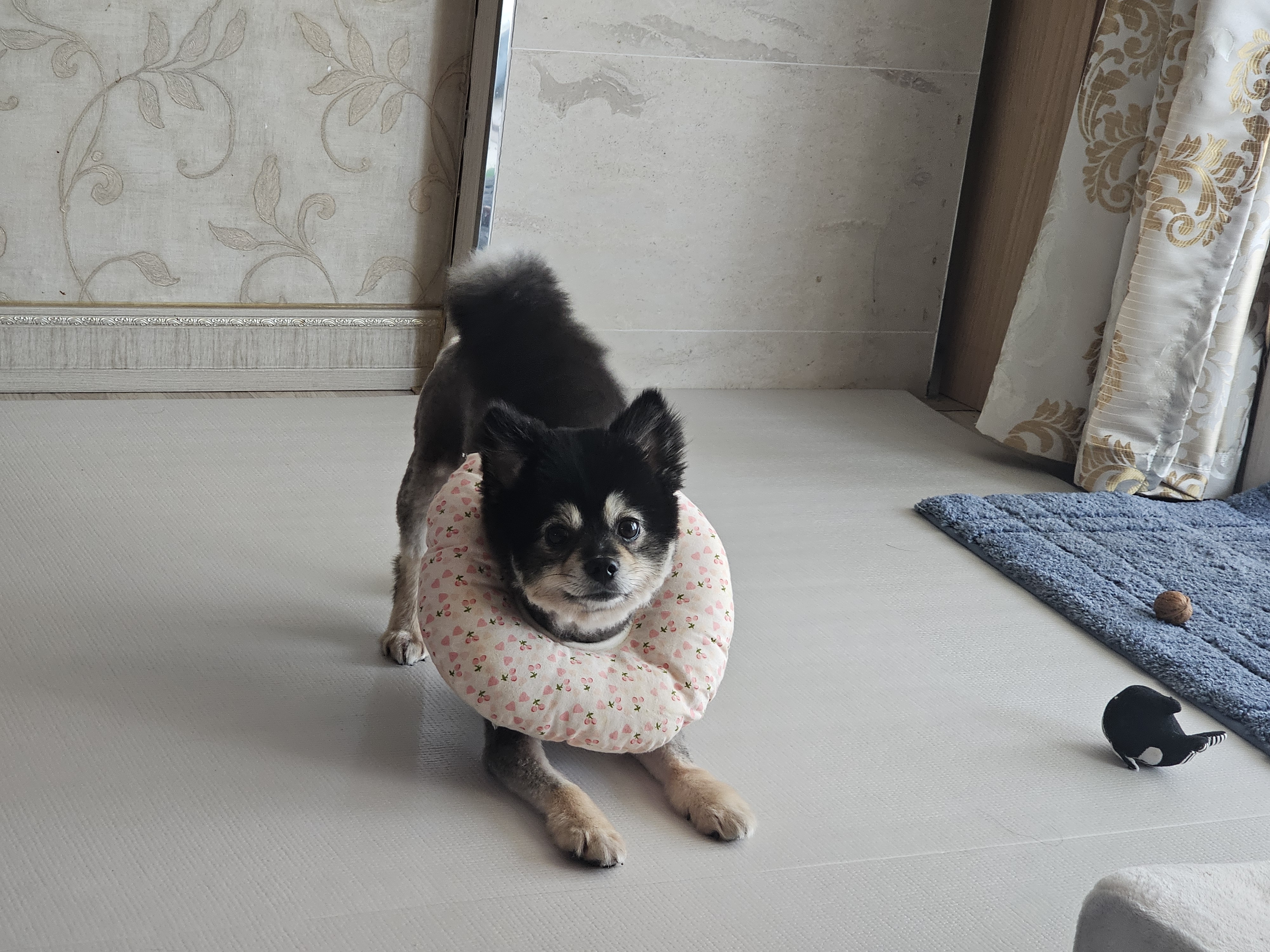 하초와 함께한 행복한 한달!