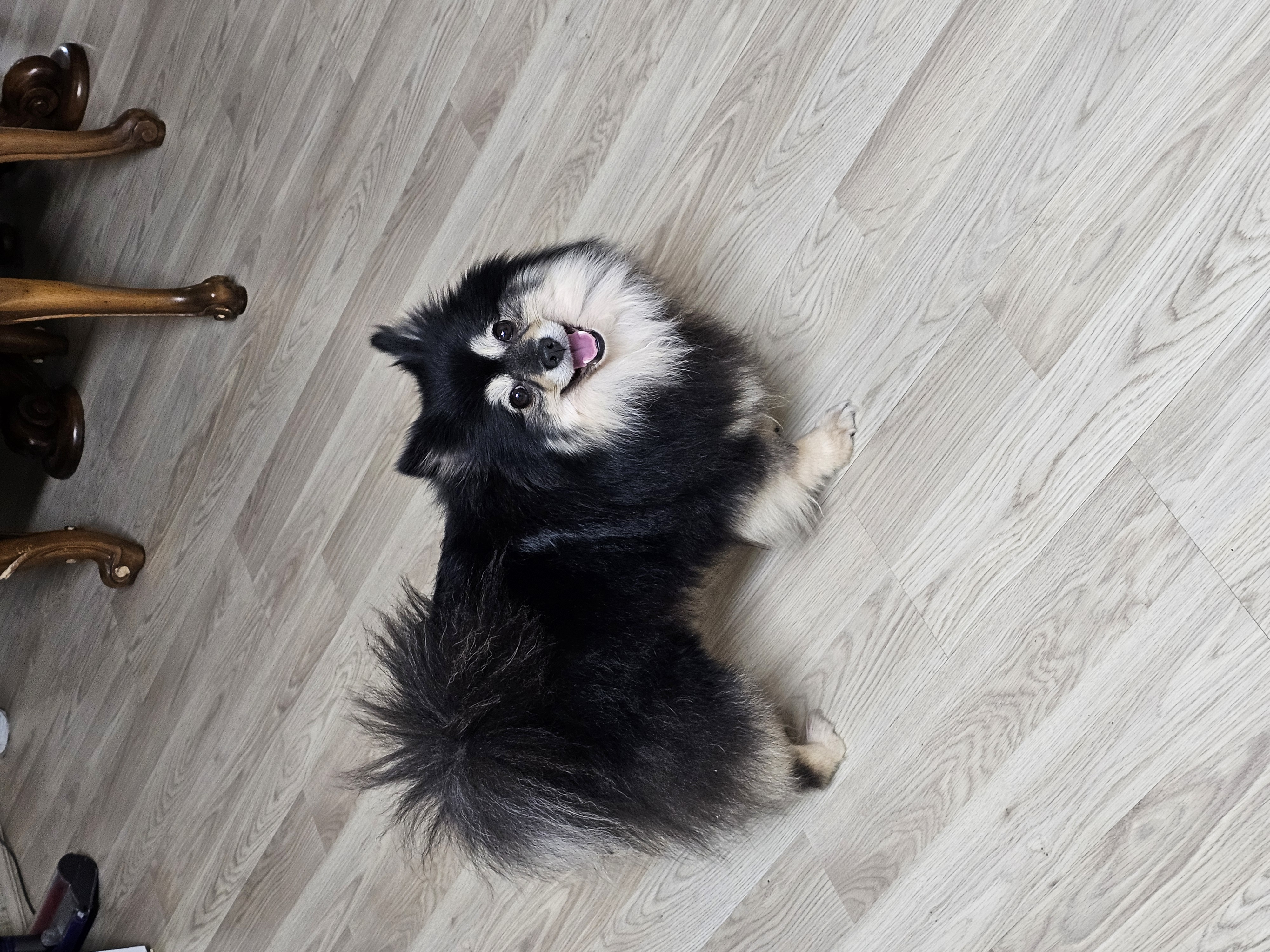 하초와 함께한 행복한 한달!