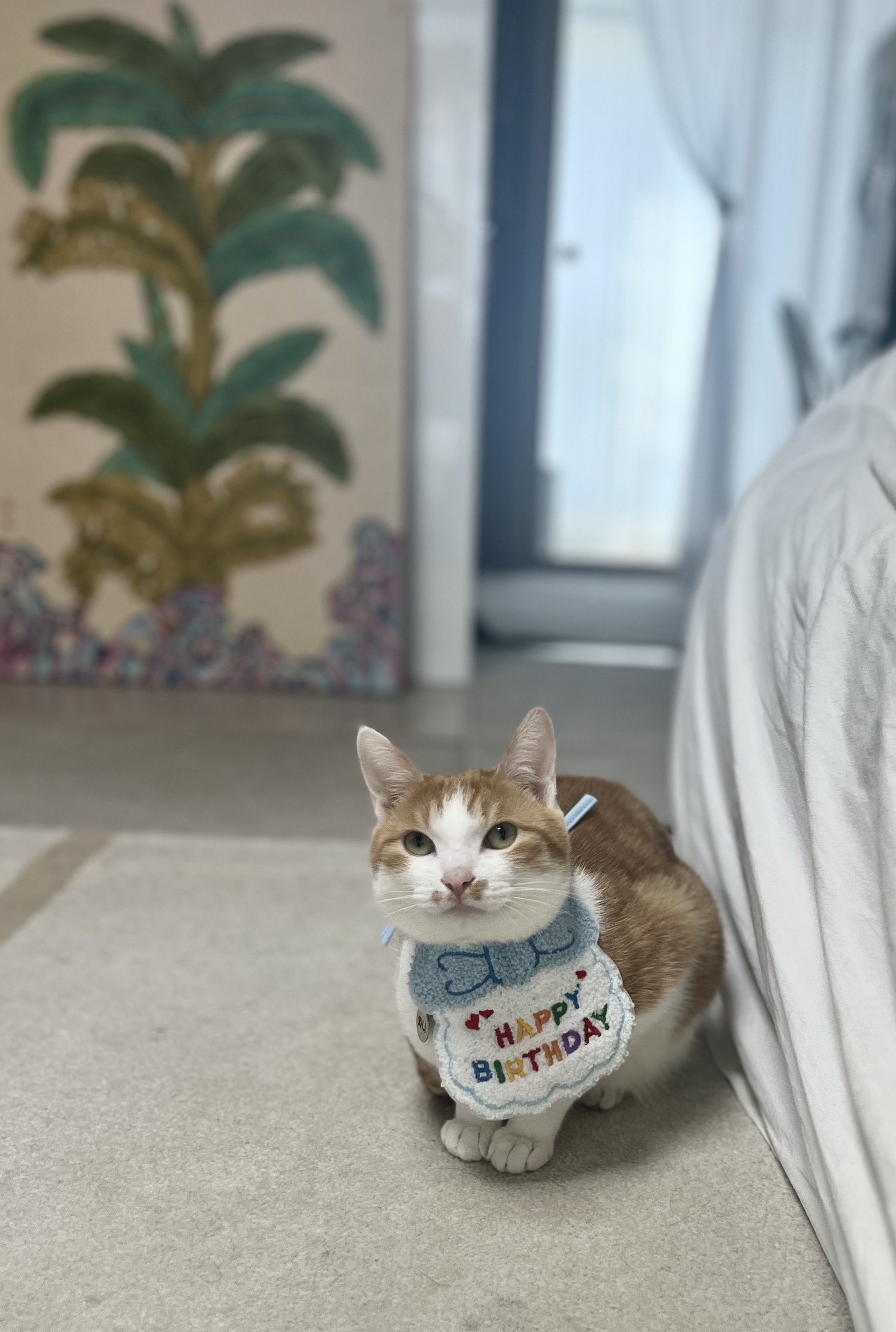 차니와 바니 (용감@씩씩이)