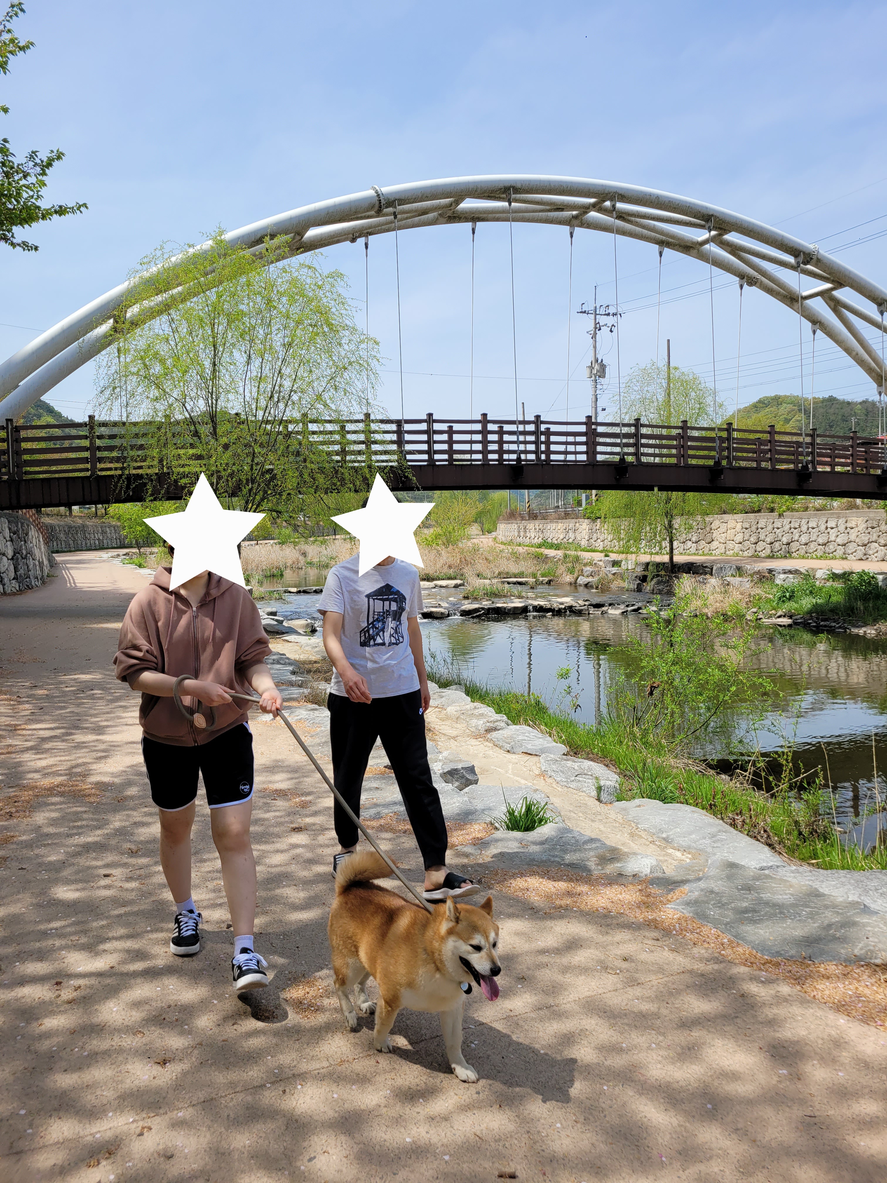 보령번식장 뚱땅(뚱이) 입양 5주차 이야기