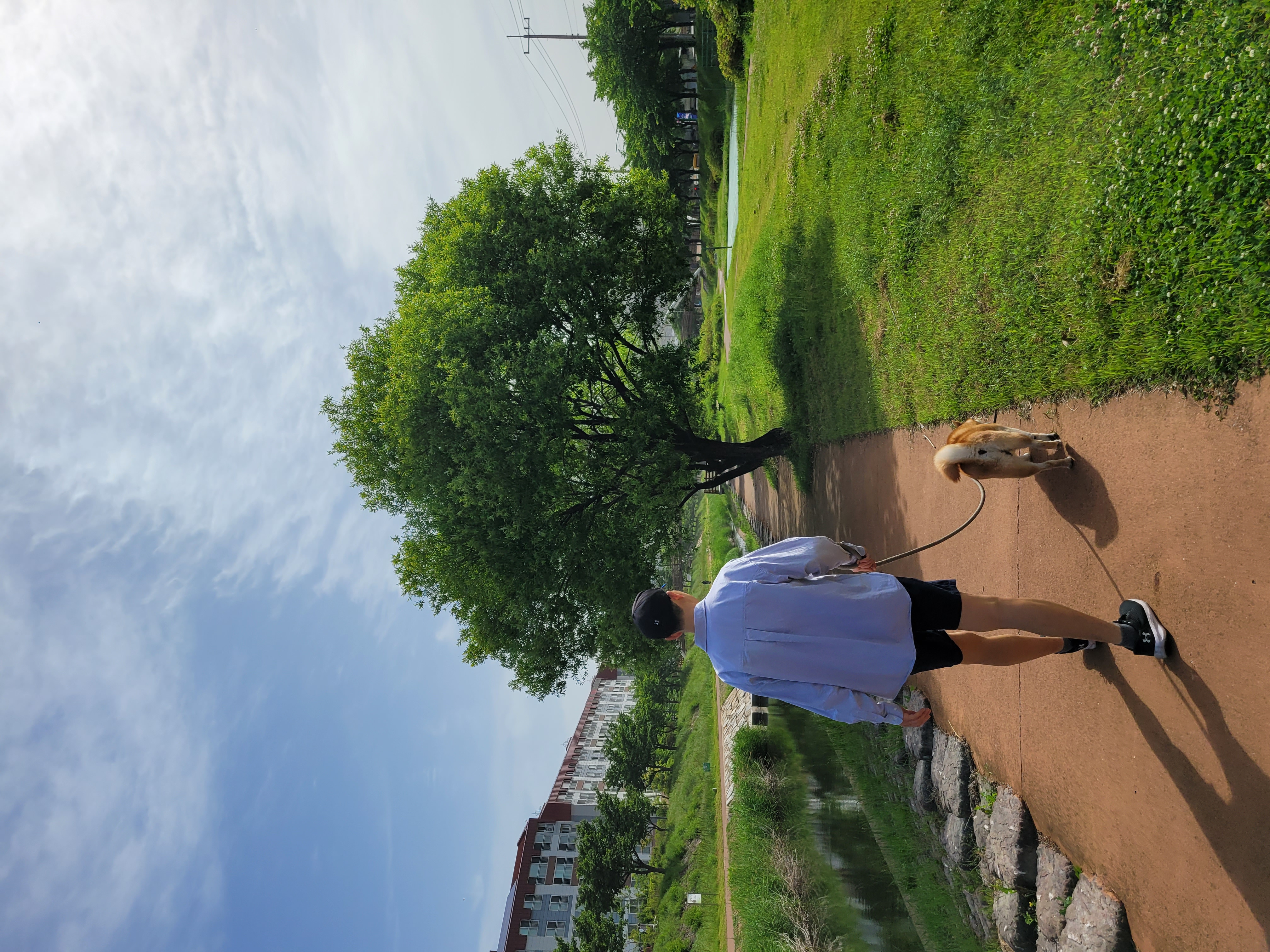 보령번식장 뚱땅(뚱이) 입양 5주차 이야기