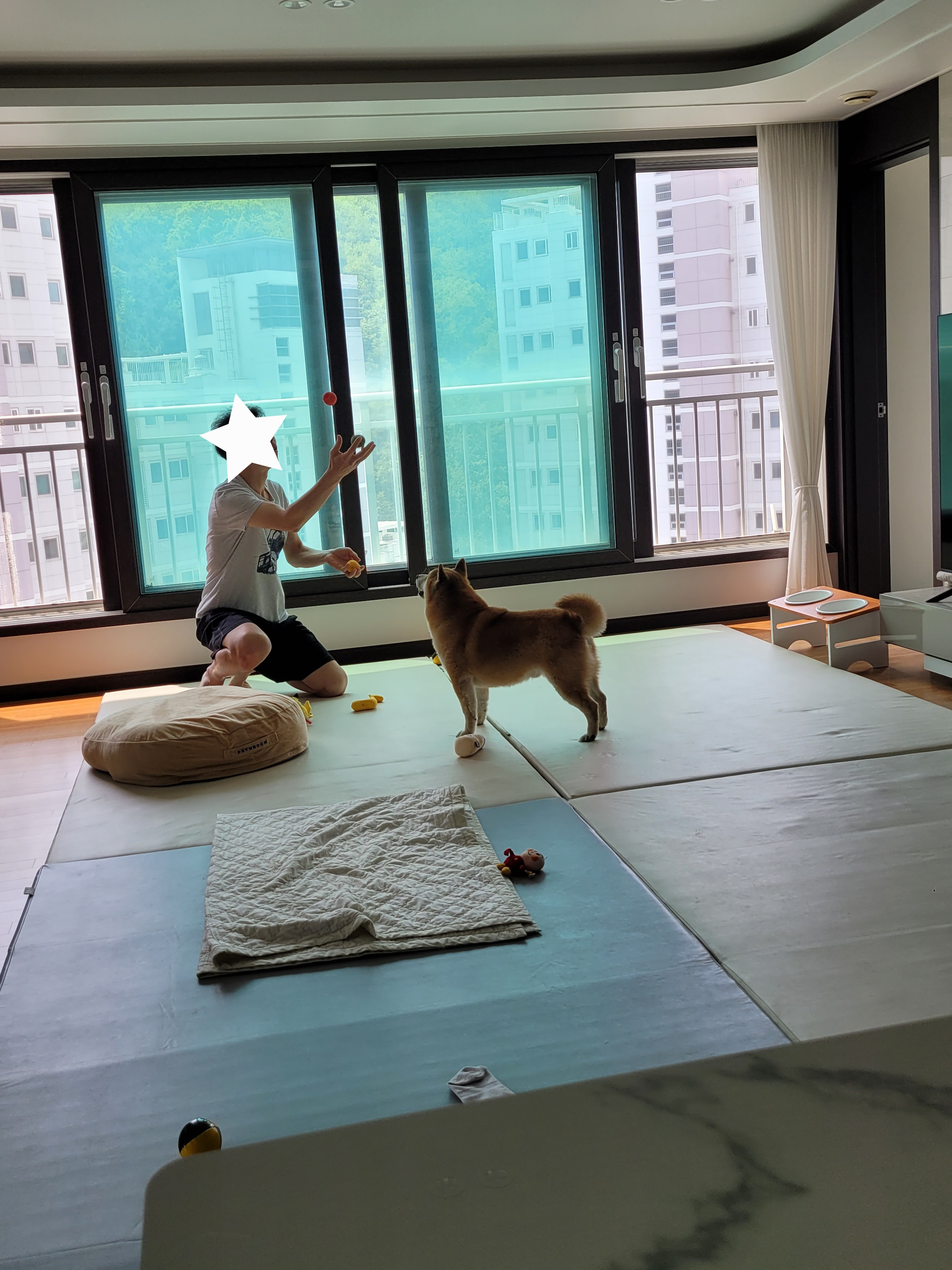 보령번식장 뚱땅(뚱이) 입양 5주차 이야기