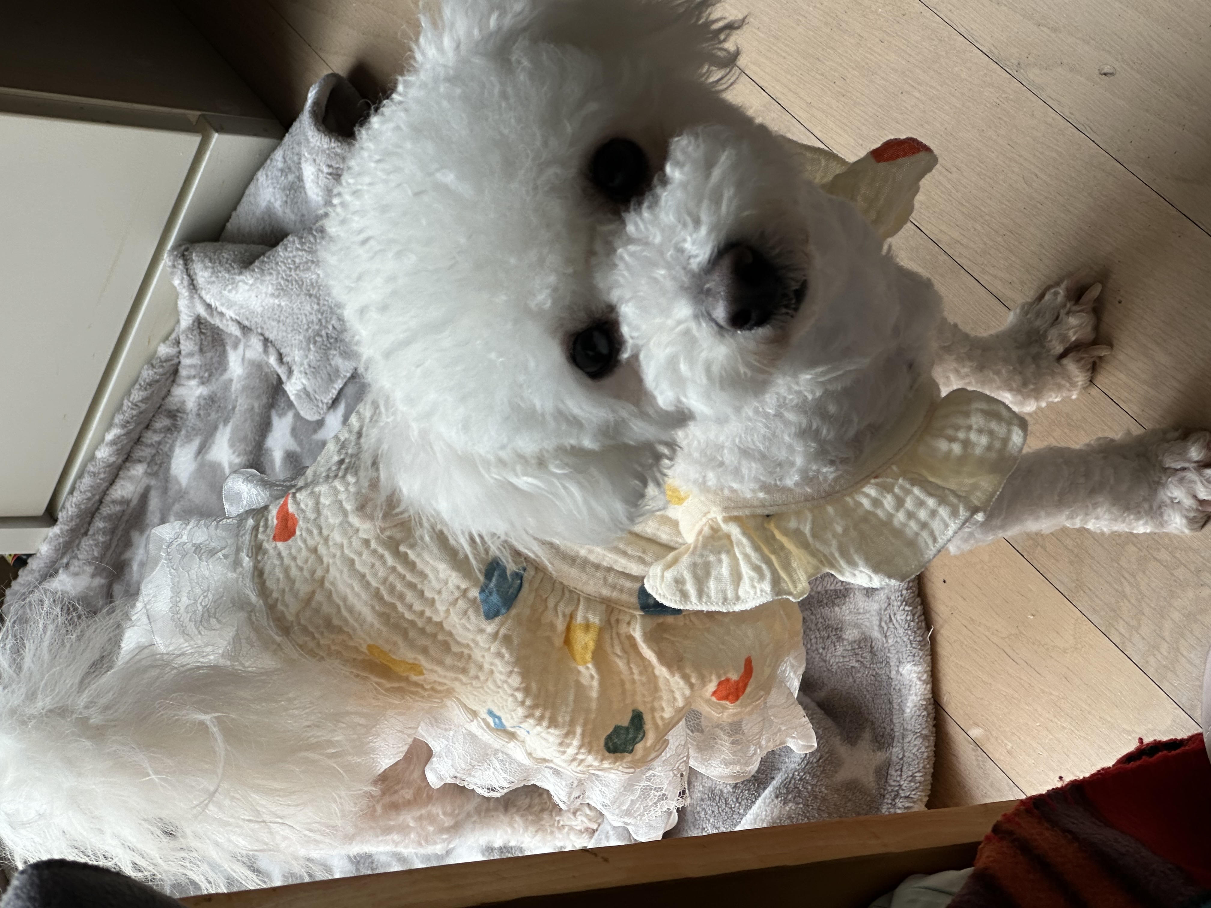 모찌(전 아름이)의 한달차 이야기 