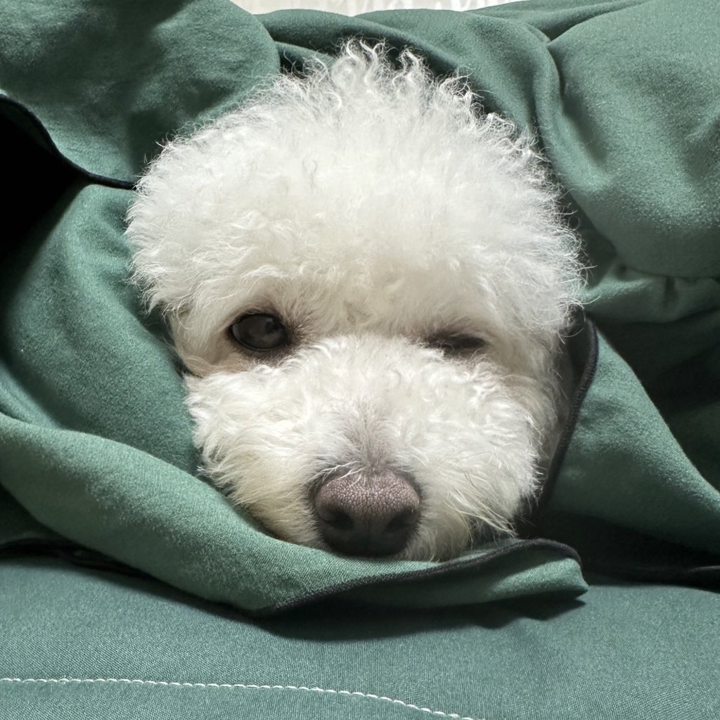 모찌(전 아름이)의 한달차 이야기 