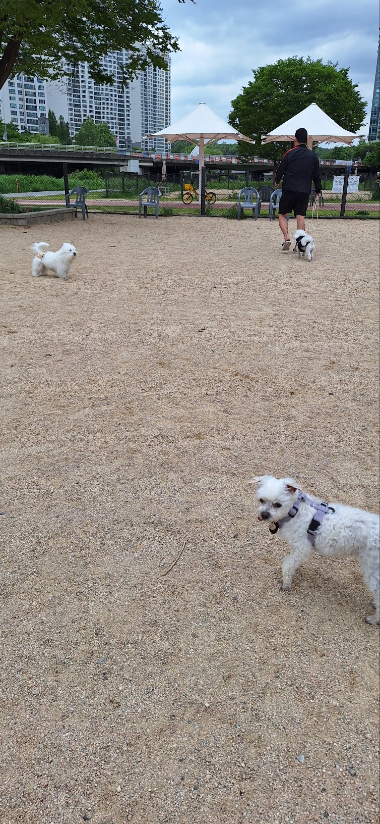 바로 첫 산책날