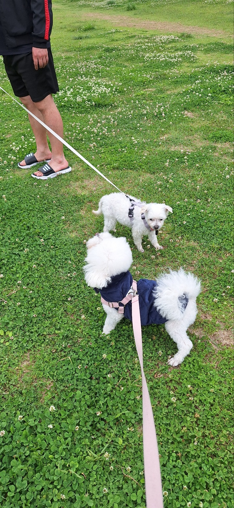 바로 첫 산책날