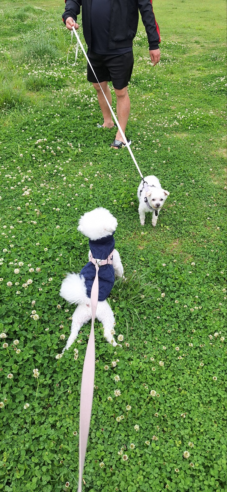 바로 첫 산책날